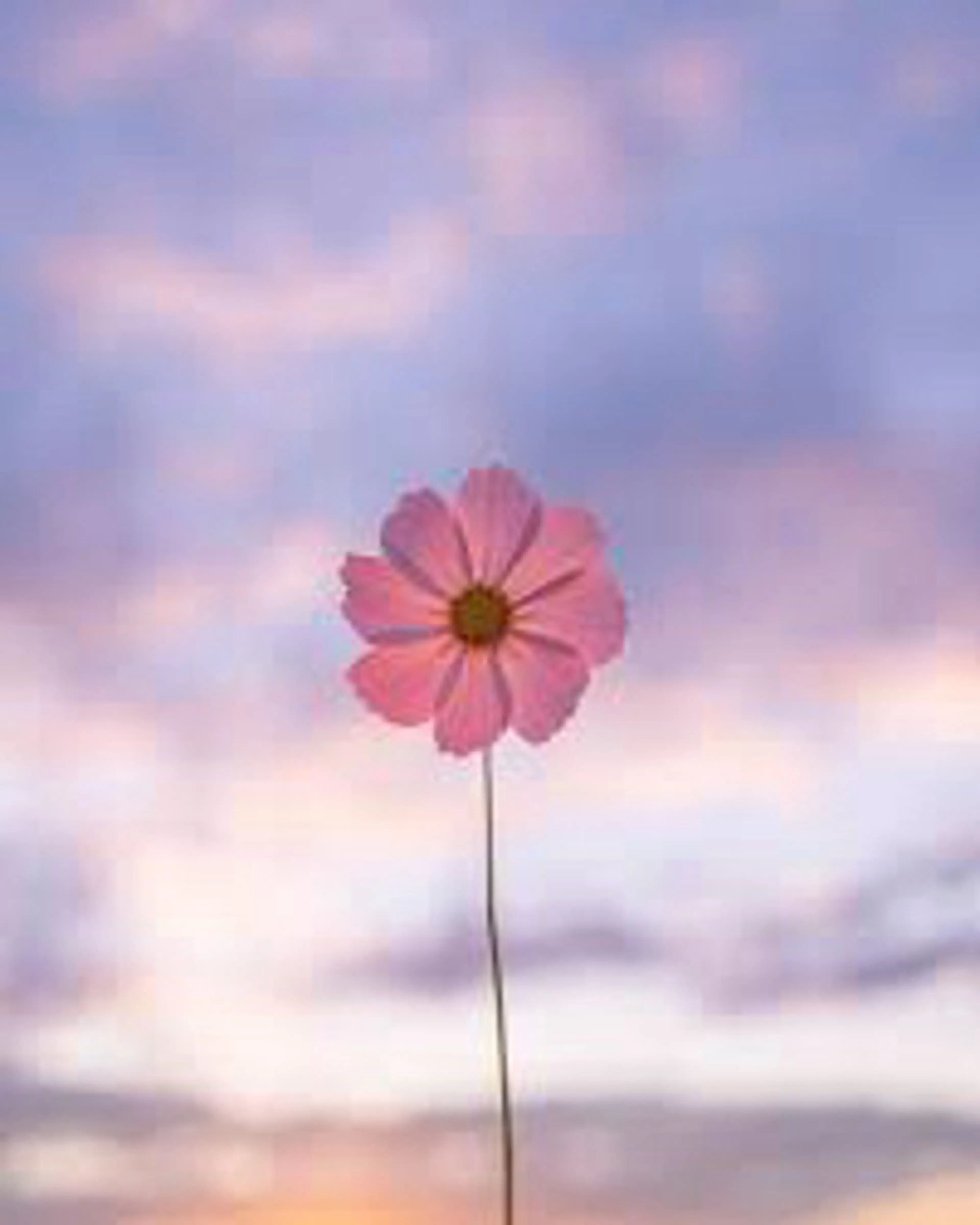 🌼二本柳 🌼のヘアスタイル