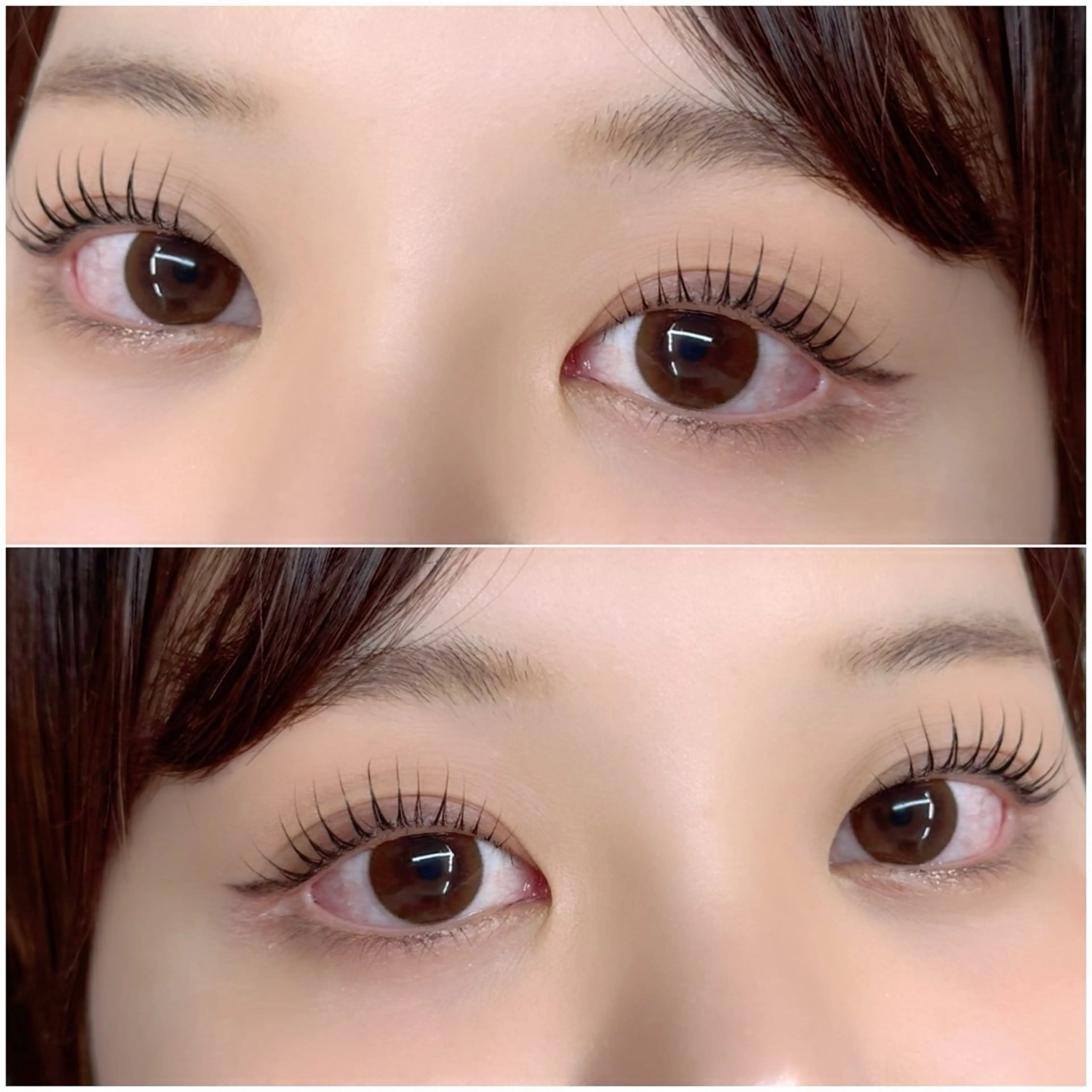 👑4月限定👑💎【東感パーマ（コーティング付き）】💎¥8000→¥4000の写真