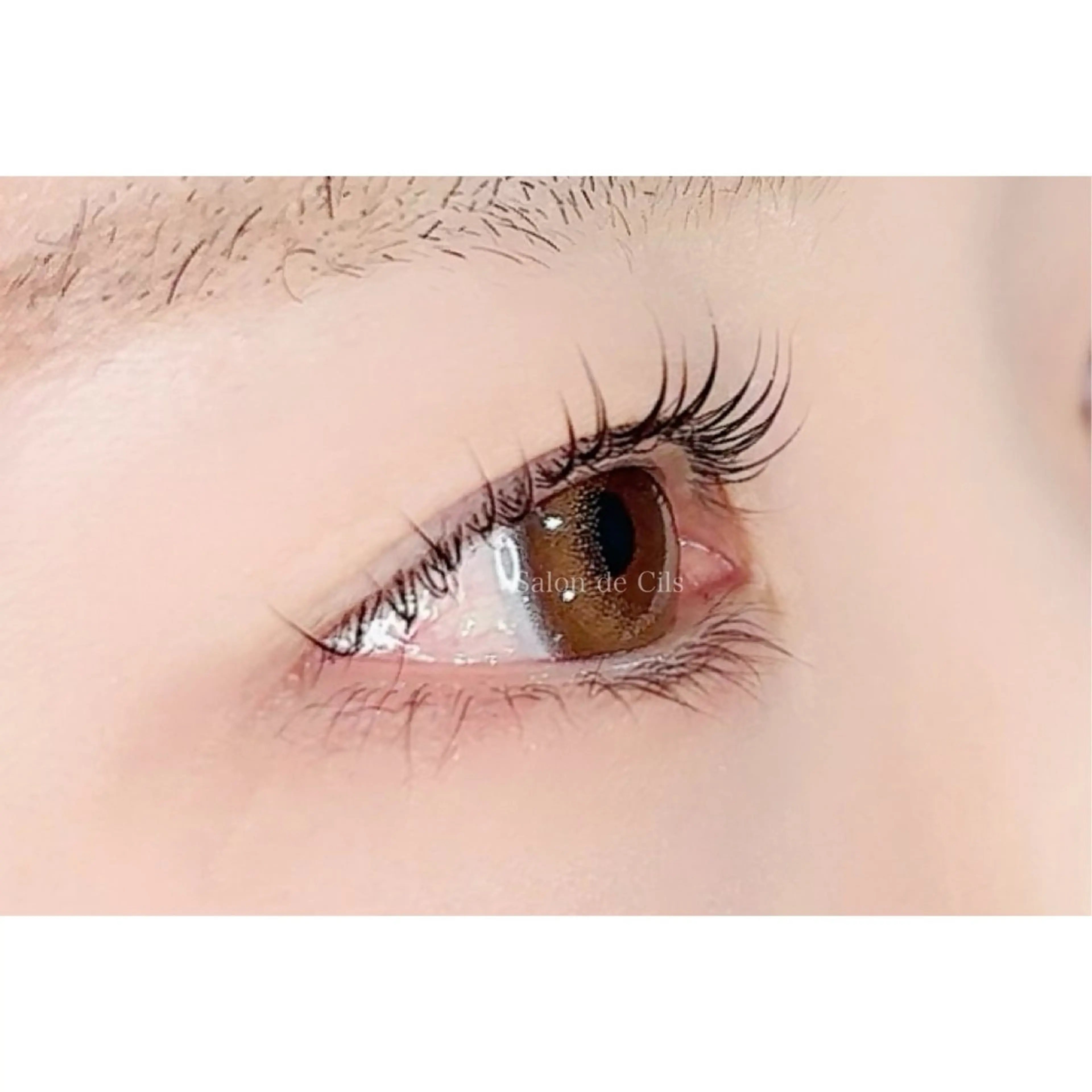 マツエク・マツパ Salon de Cilsのマツエク・マツパデザイン