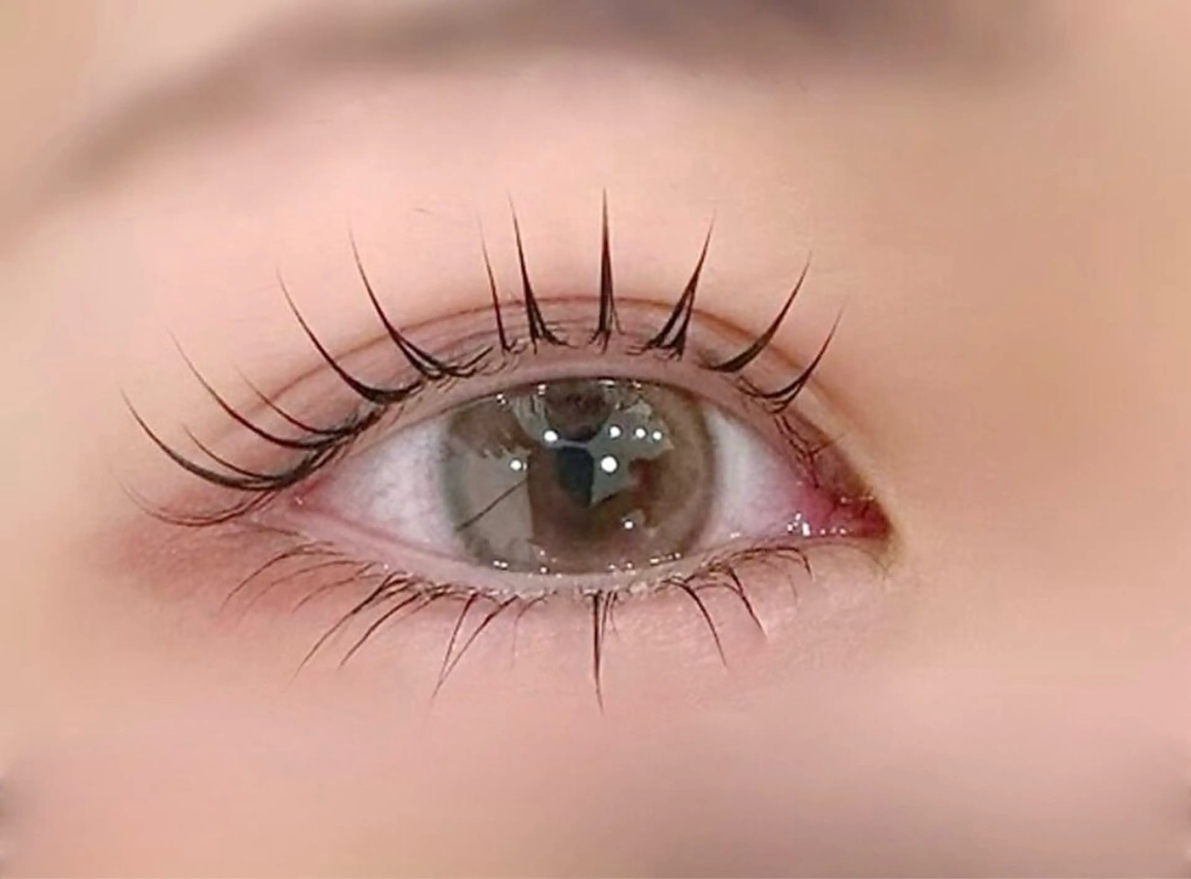 minimo限定/まつ毛パーマ（韓国ロッド）🇰🇷🖤    Pancake・Butter・Sandの写真