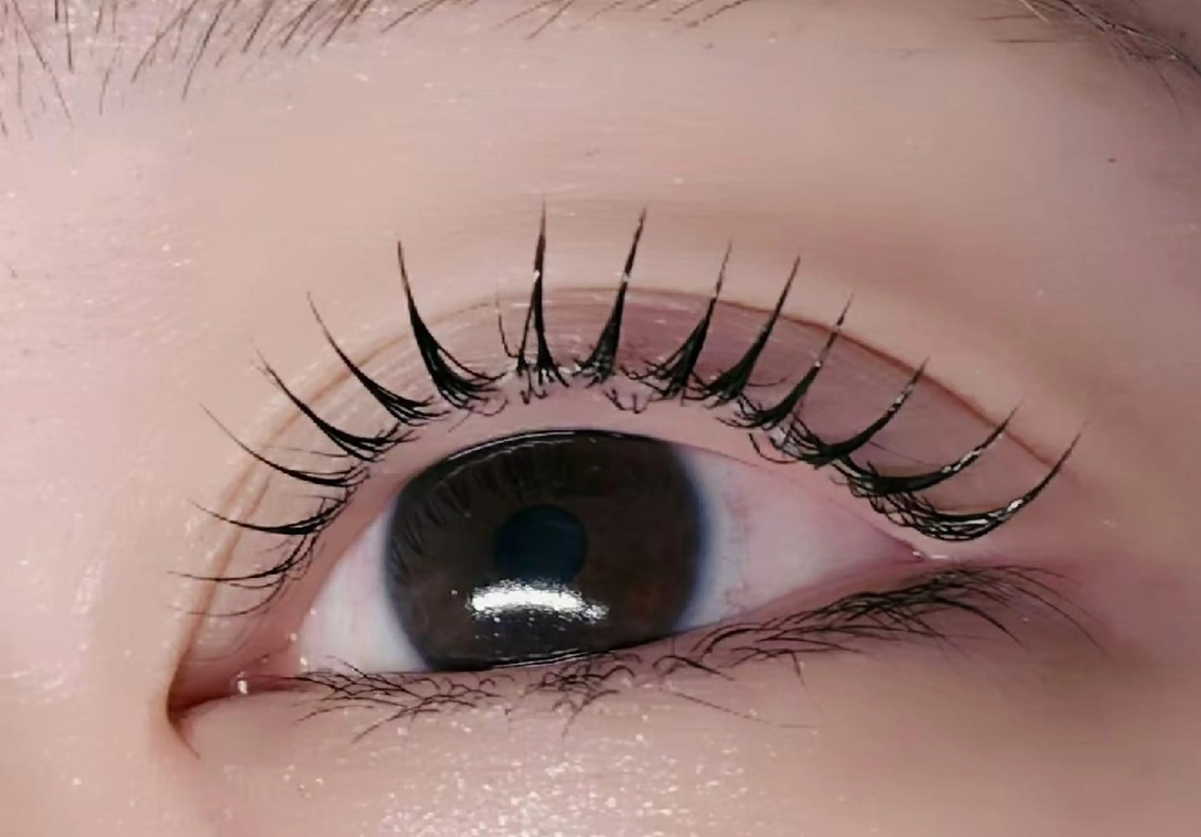 マツエク・マツパ 韓国風マツエク マツパ ルチア💞 lucia高田馬場のマツエク・マツパデザイン