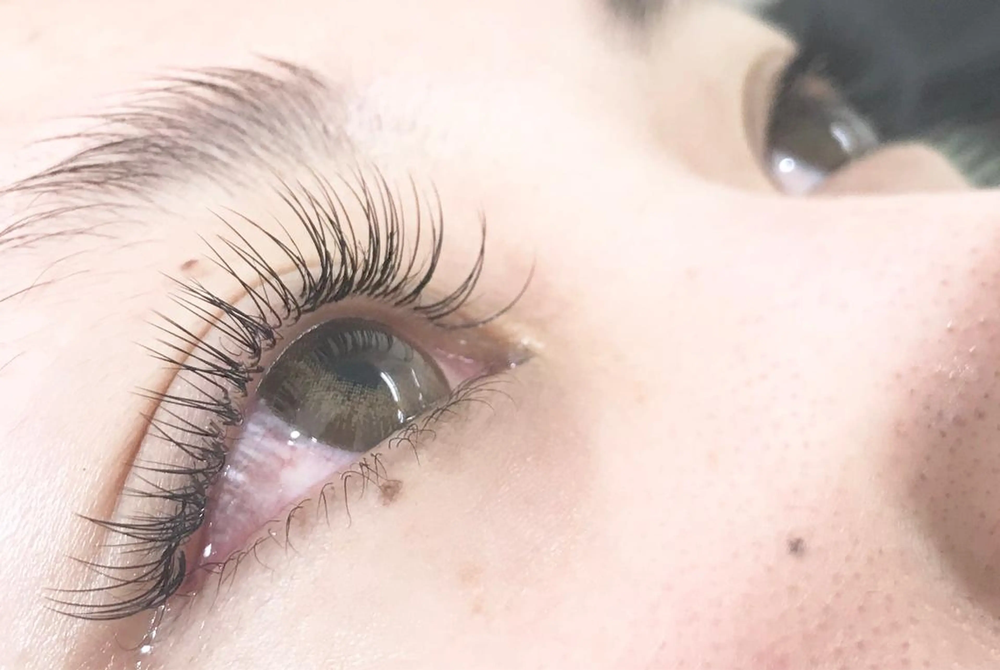 🎀新規🎀 シングルラッシュ180本の写真