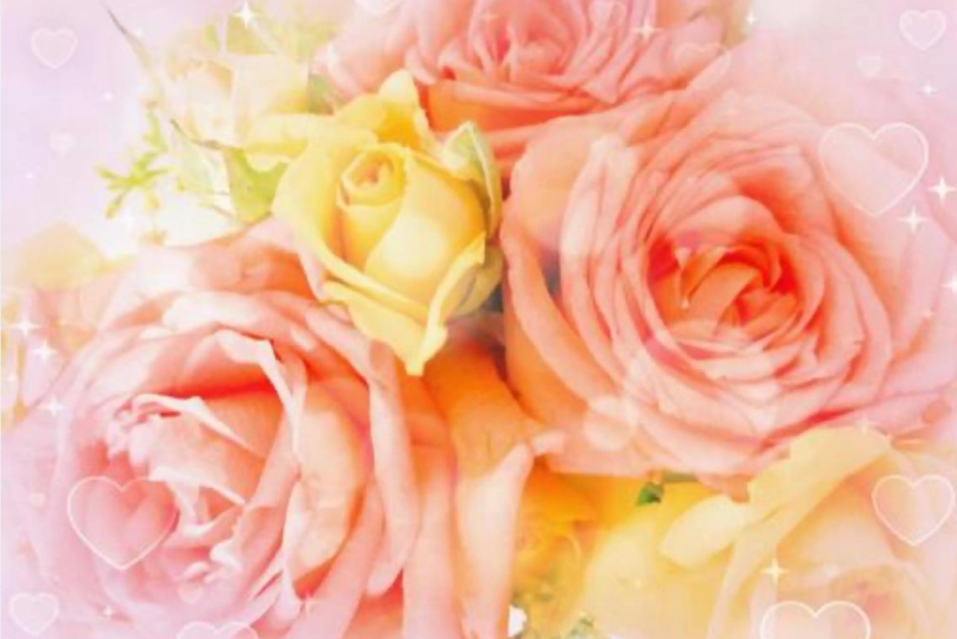 🌹ローズの香りに包まれて🌹ローズ蒸し40分の写真