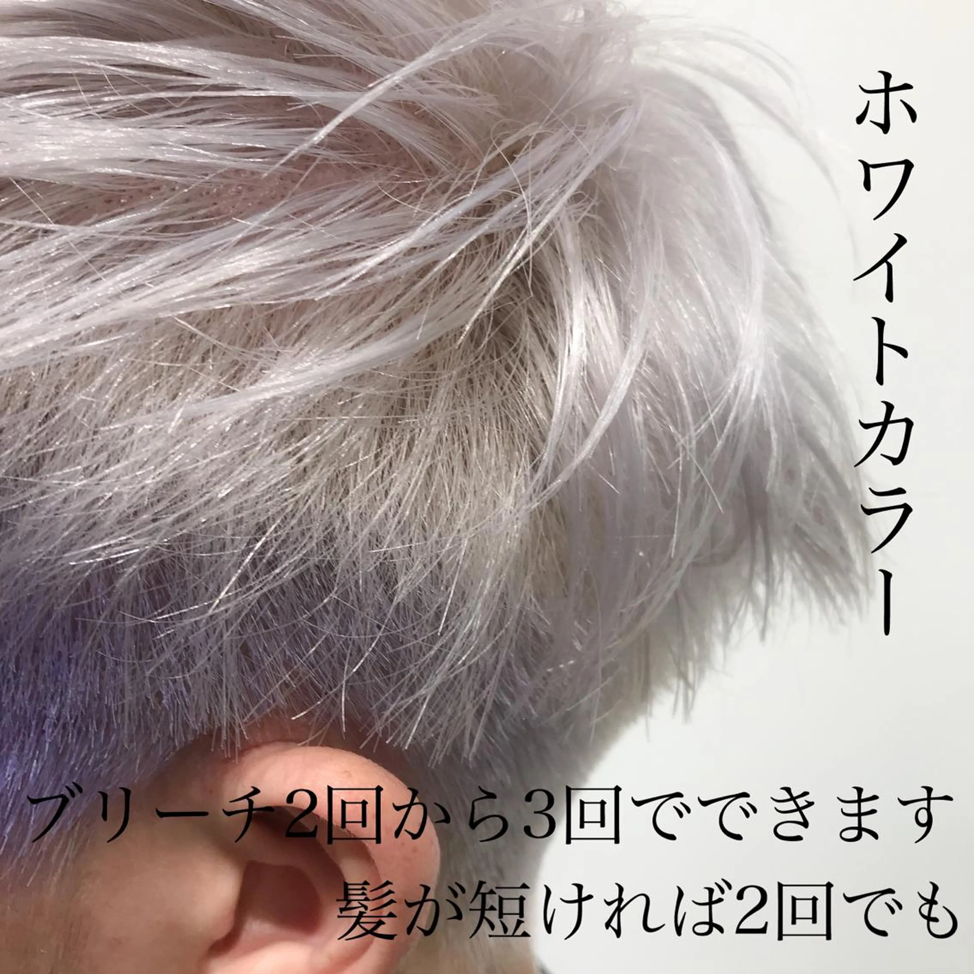 ショート カラー ヘアアレンジ ブロンド ホワイトブロンド 特別モデル価格 タカシマイッセイのヘアスタイル