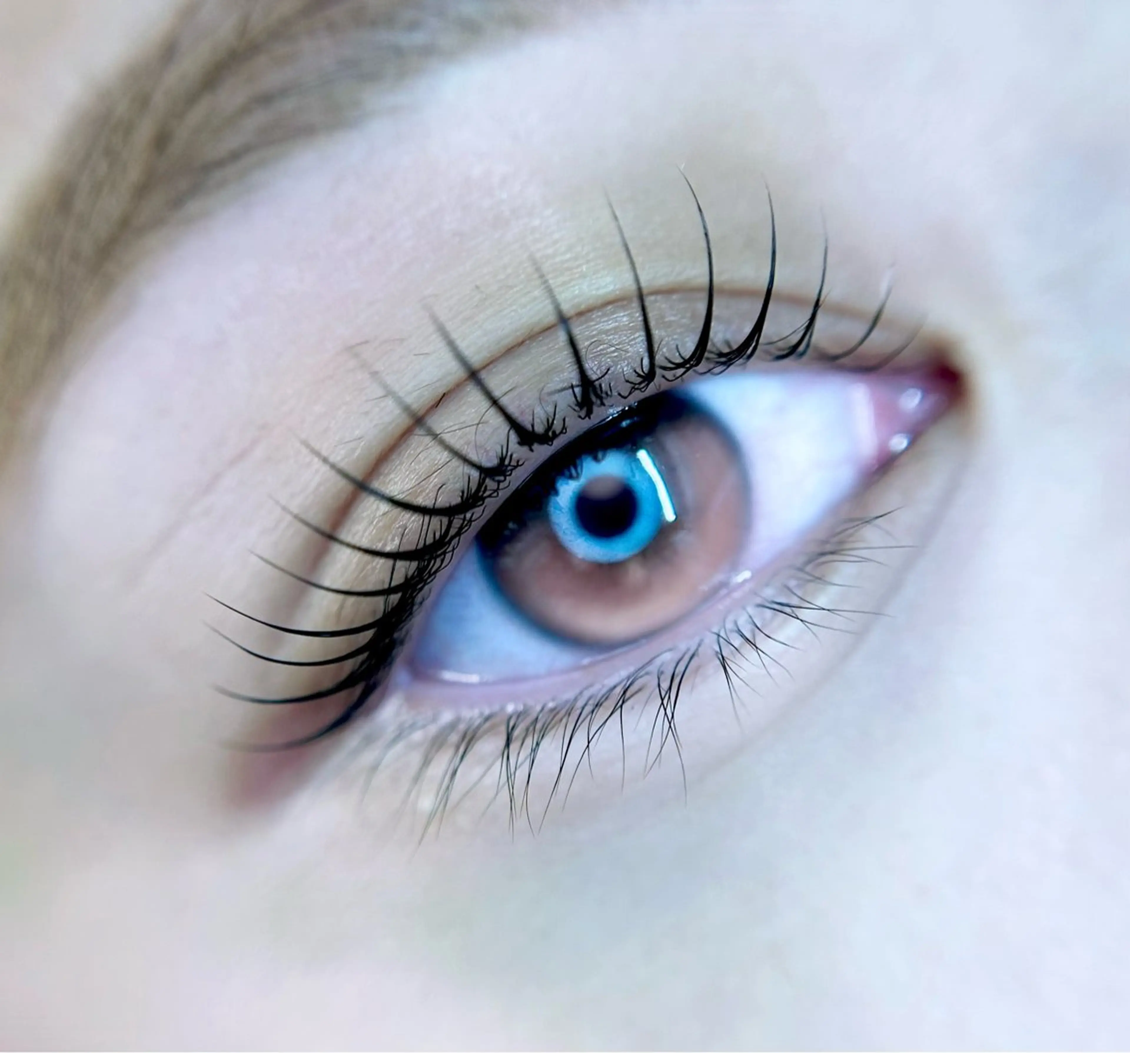 マツエク・マツパ 🎀eyelist. mizuki🐈‍⬛のマツエク・マツパデザイン