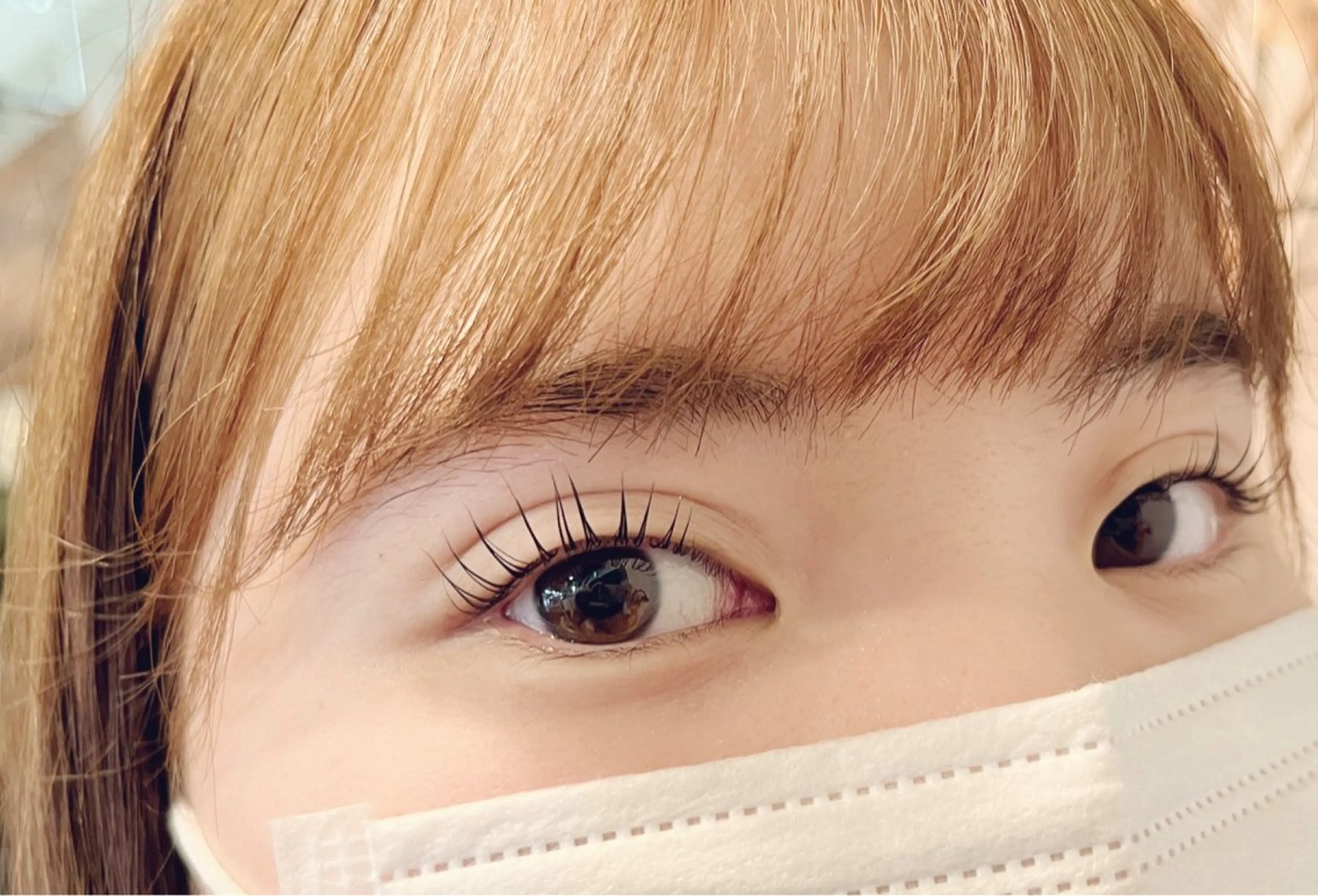 マツエク・マツパ 束感まつ毛 マツパ やまにたゆか🌿 Nordlysのマツエク・マツパデザイン