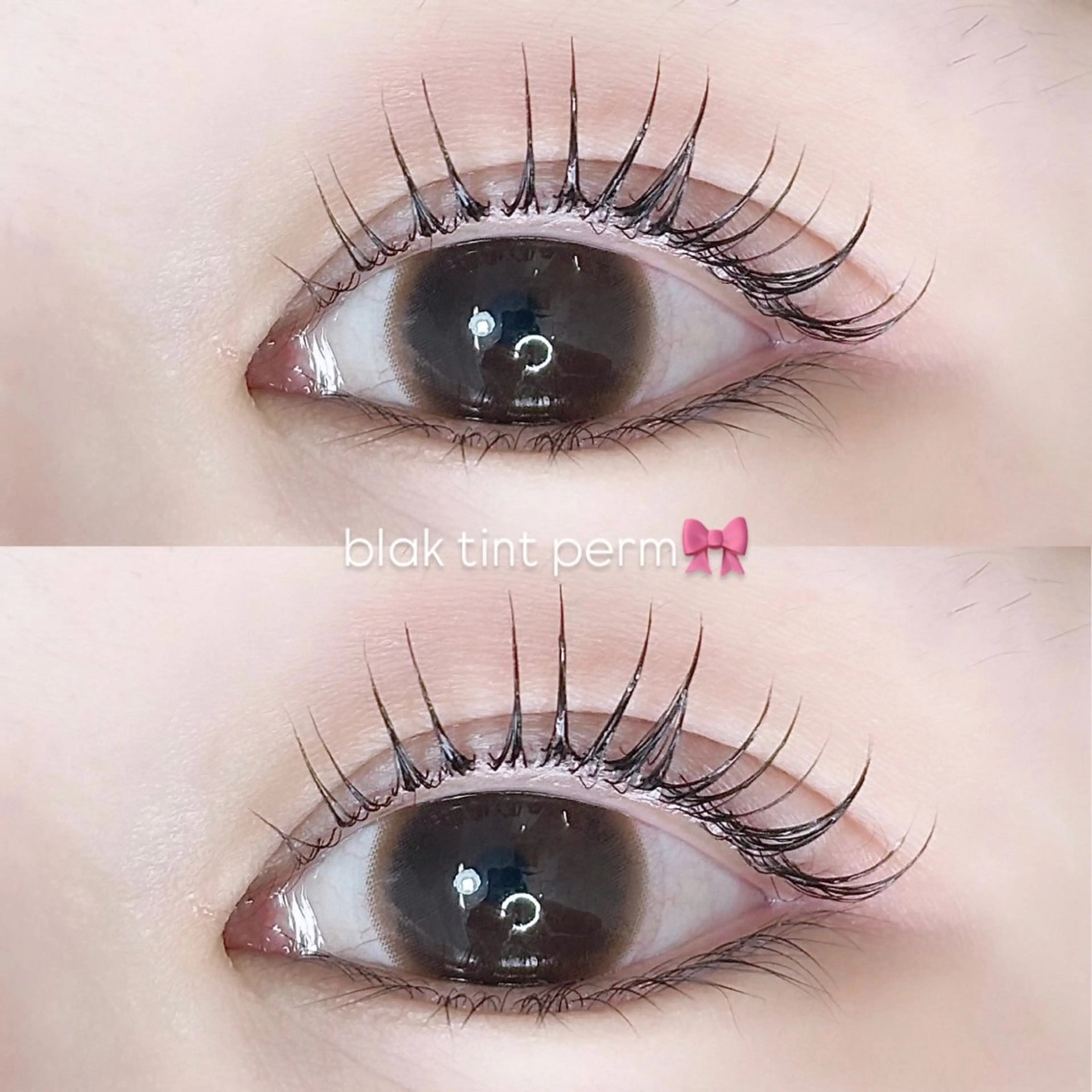 【新規】韓国マスカラ/ブラックティントパーマ🇰🇷♡の写真