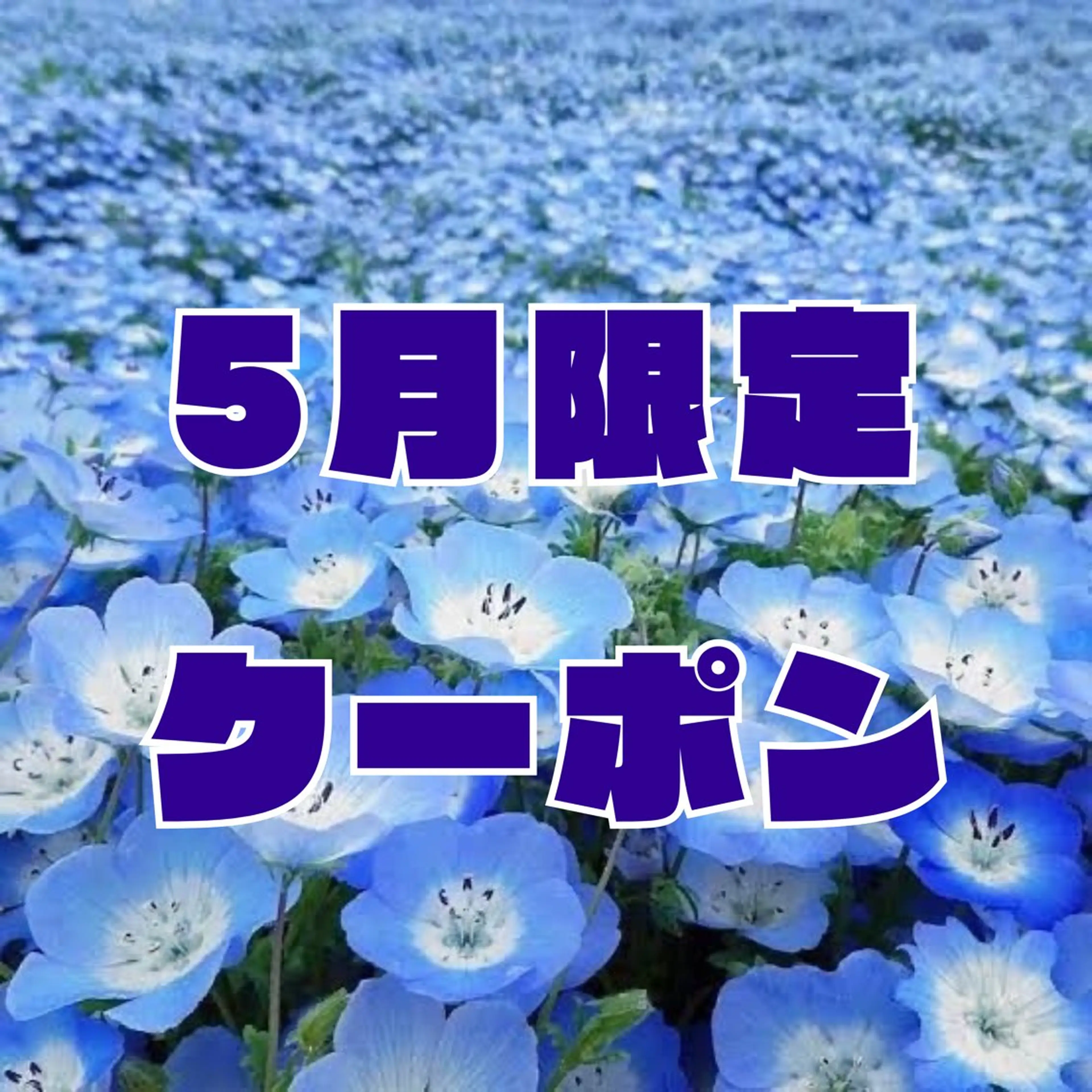 【🌱5月限定🐬】🎀ラッシュリフト【上のみ】🎀｜アイシャンプーorトリートメント付🫧｜※パリジェンヌ変更🉑の写真