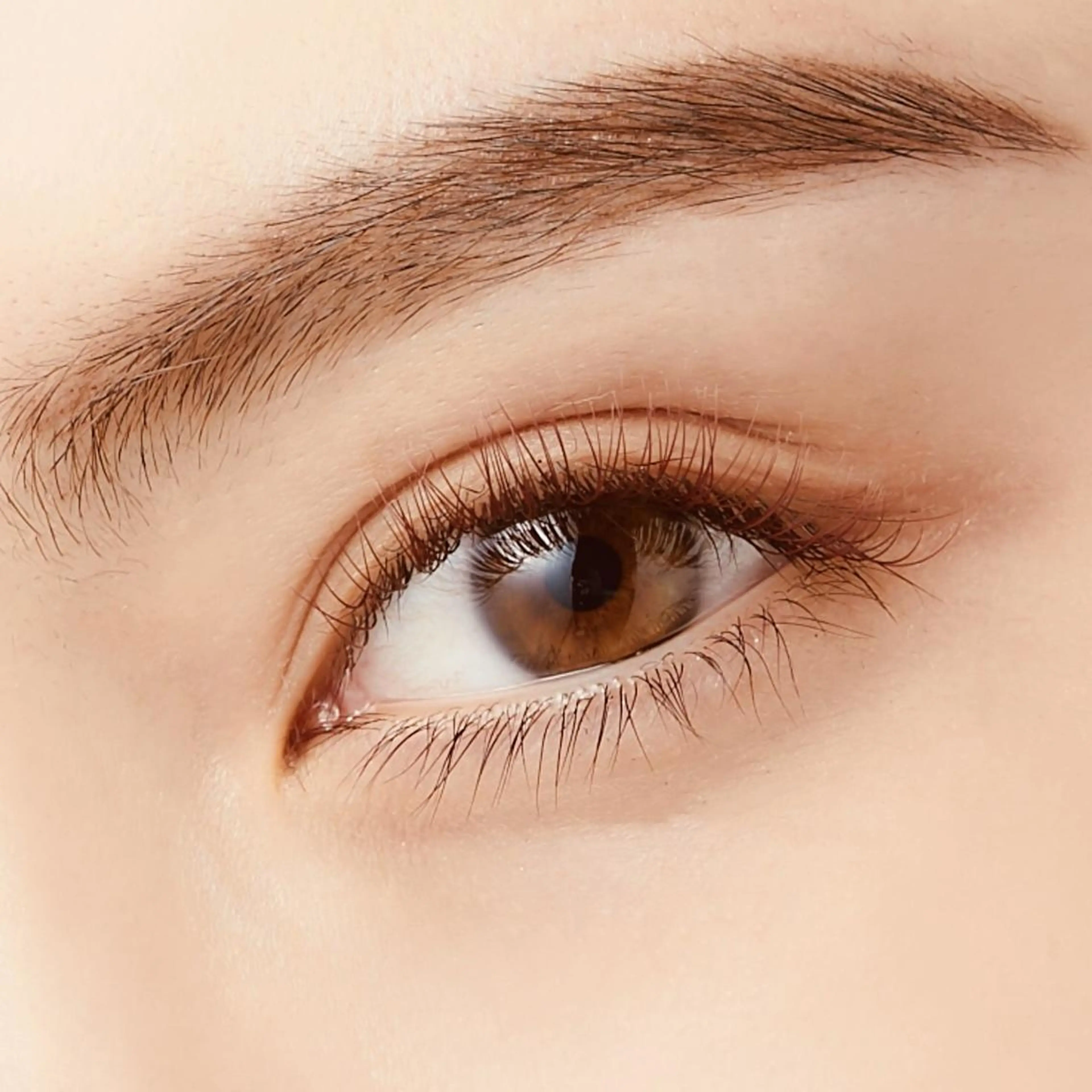 マツエク・マツパ knoman ノマン まつパ/マツエクのマツエク・マツパデザイン