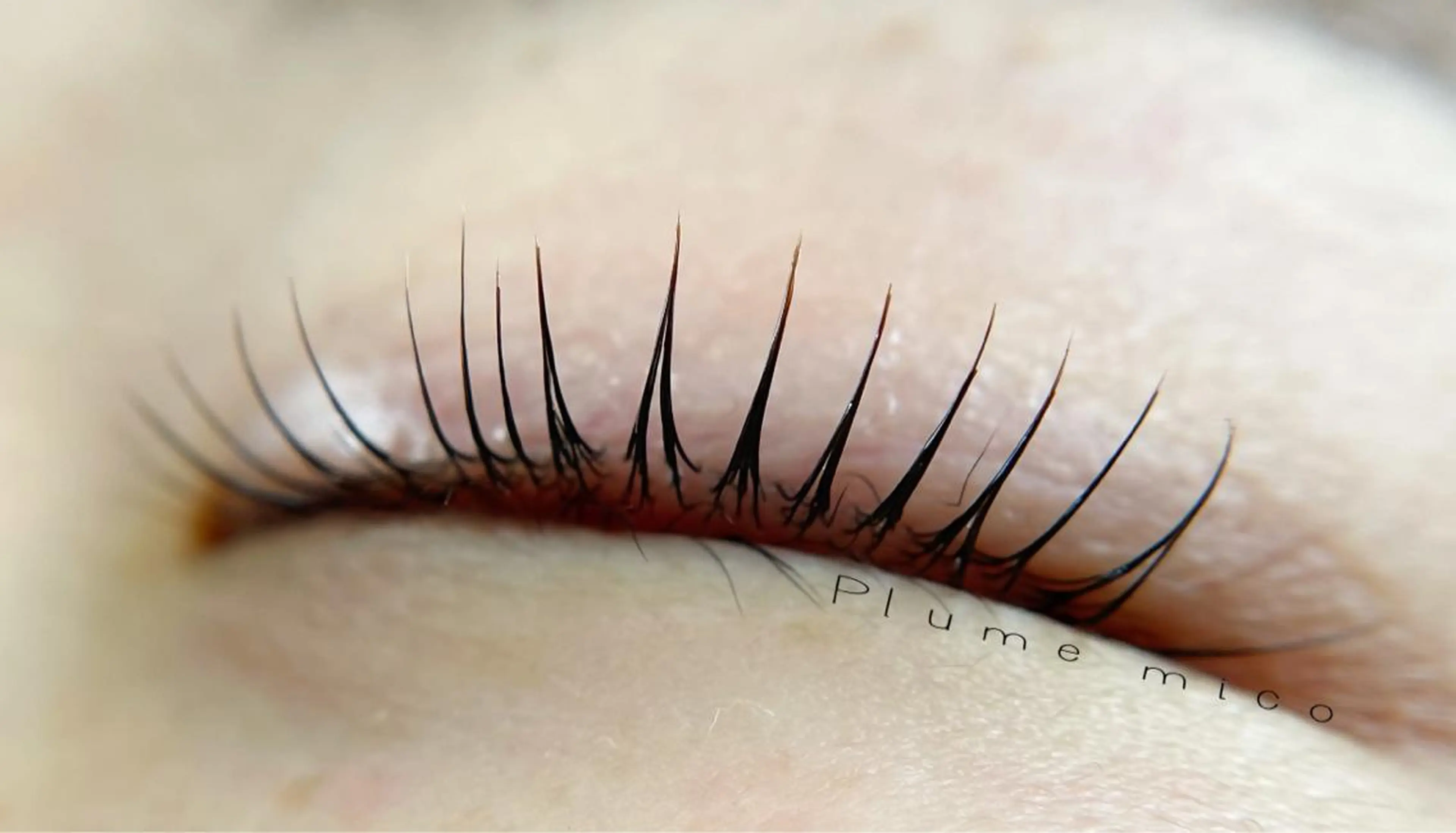 マツエク・マツパ マツパ Plume micoのマツエク・マツパデザイン