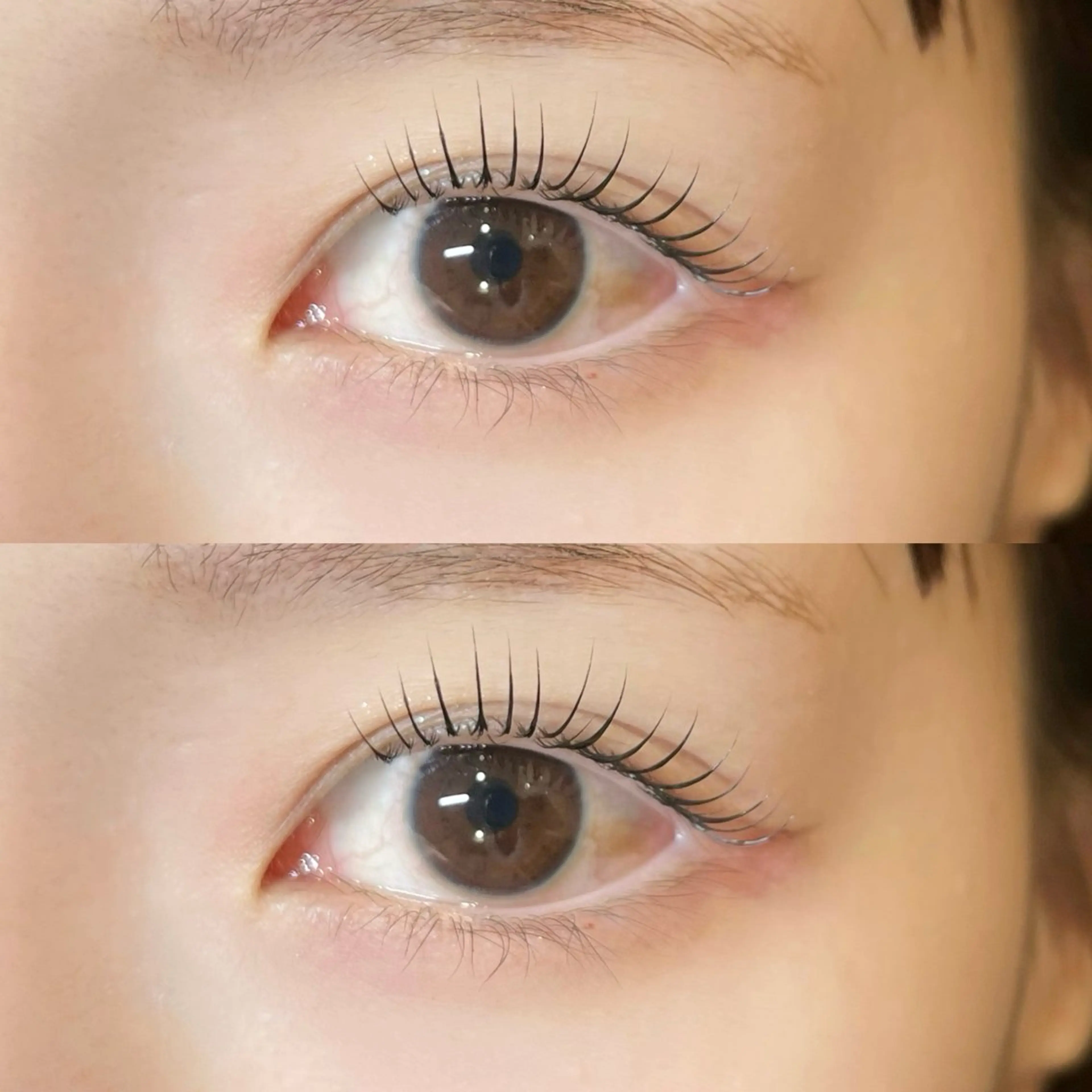 マツエク・マツパ 𝒆𝒊𝒈𝒉𝒕 杏花のマツエク・マツパデザイン