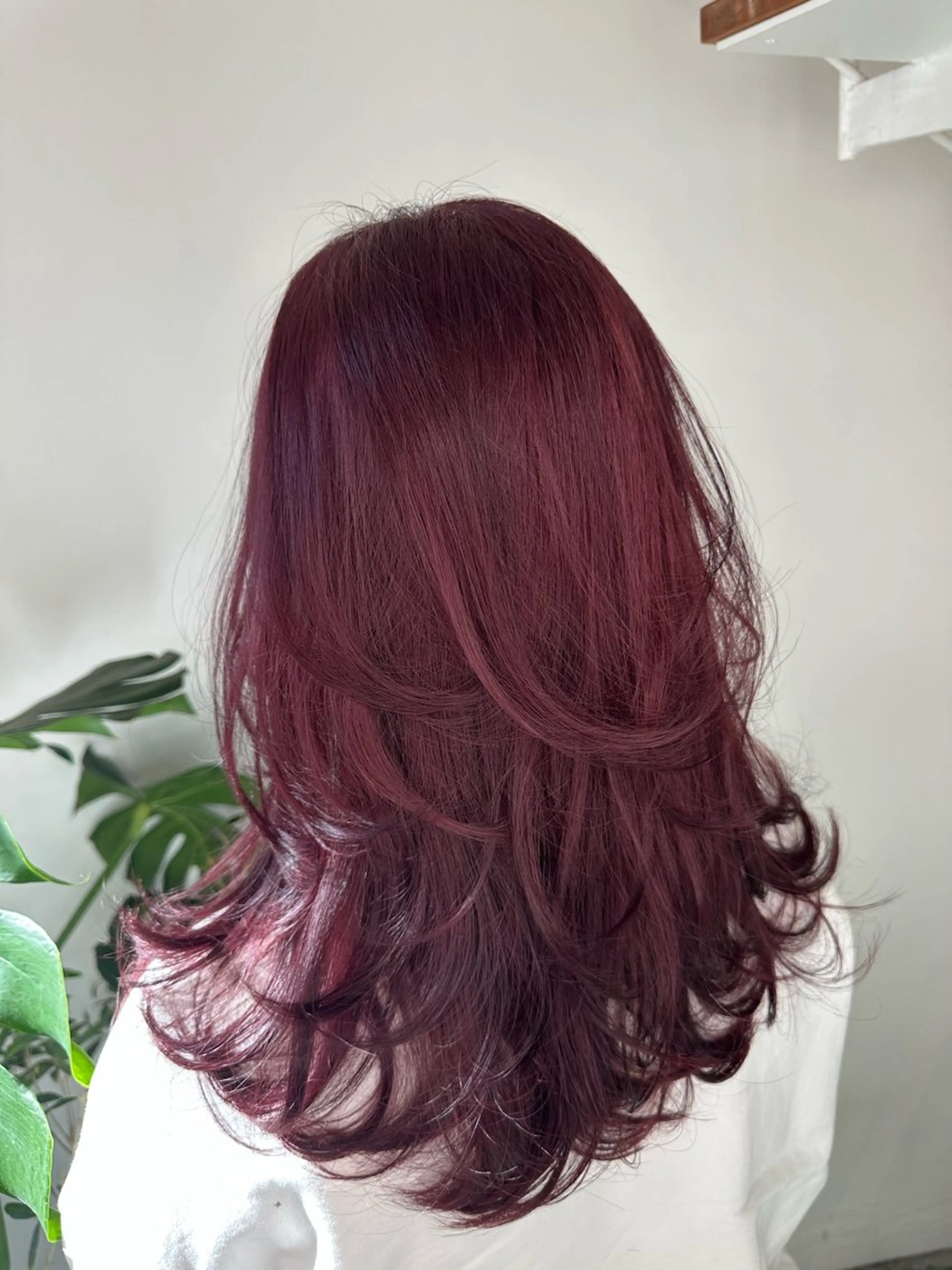 ミディアム カラー ブリーチ ボルドーカラー ハイトーンカラー レイヤーカット 堀江/レイヤーカット 𝒀𝑼𝑻𝑶のヘアスタイル