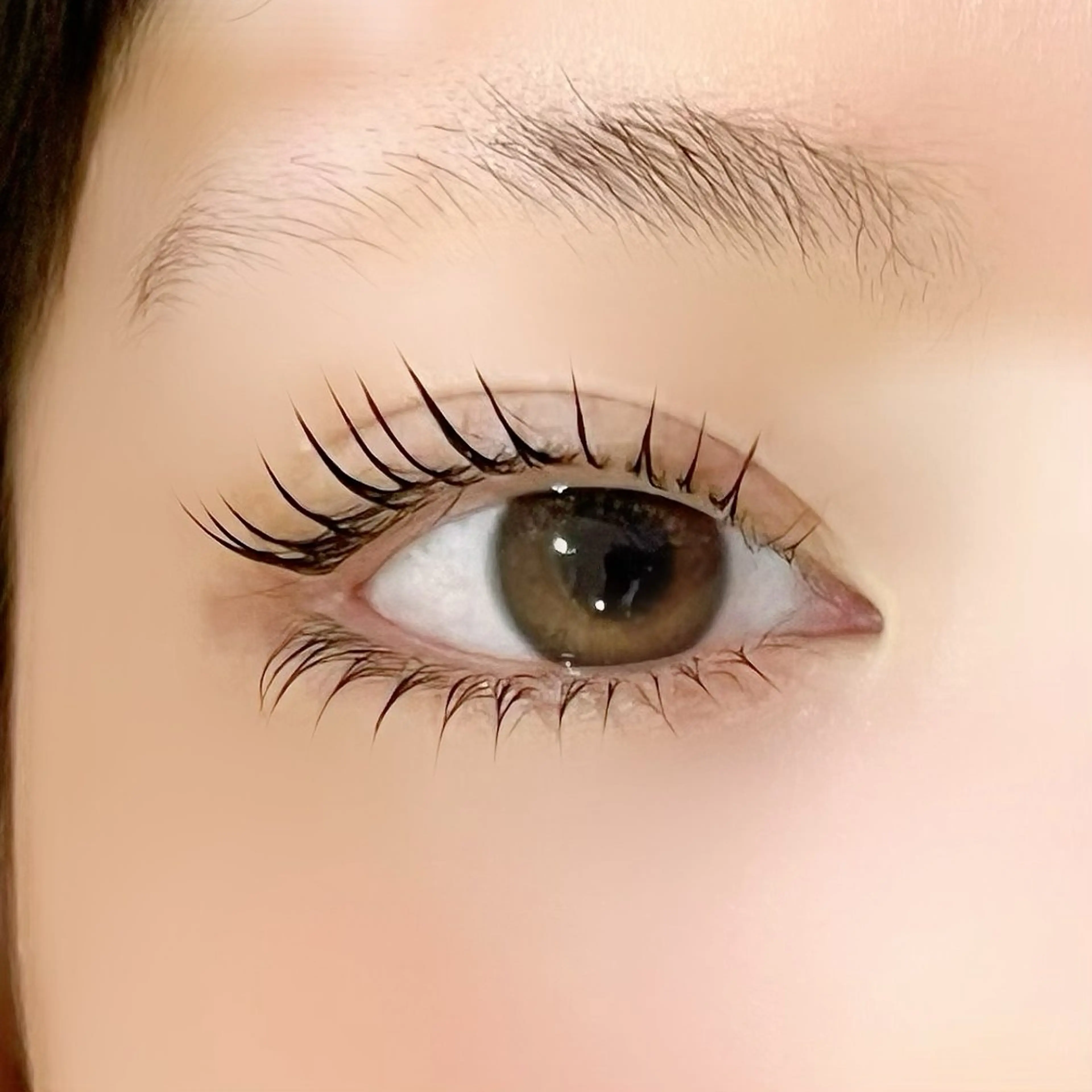 上下まつげパーマ（アイシャンプー＆コーティング込み）の写真