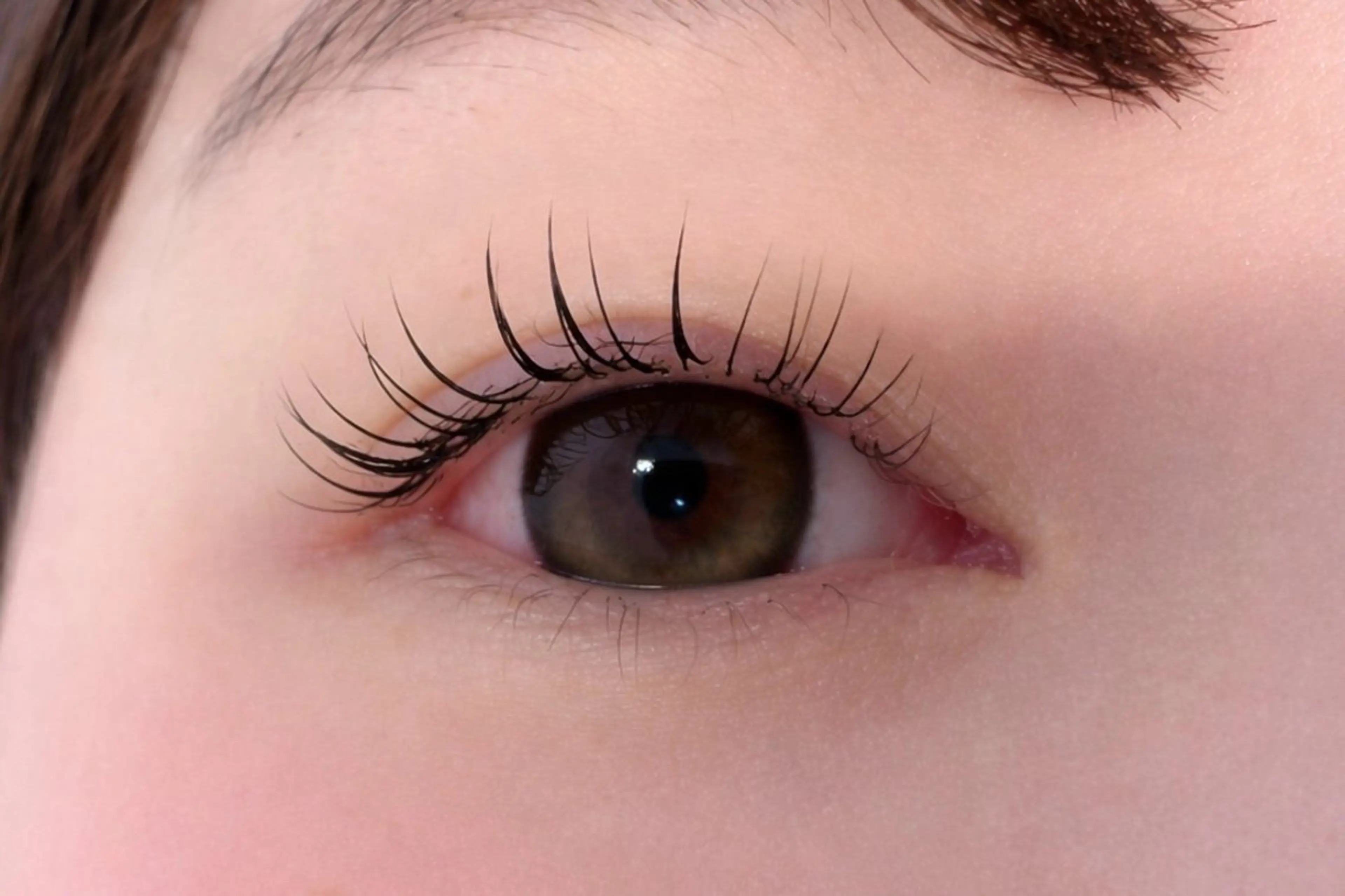 ⭐️最新技術!!モデル様募集⭐️LEDエクステ×まつ毛パーマ（フラットラッシュ80本or100本）オフ込み!!の写真