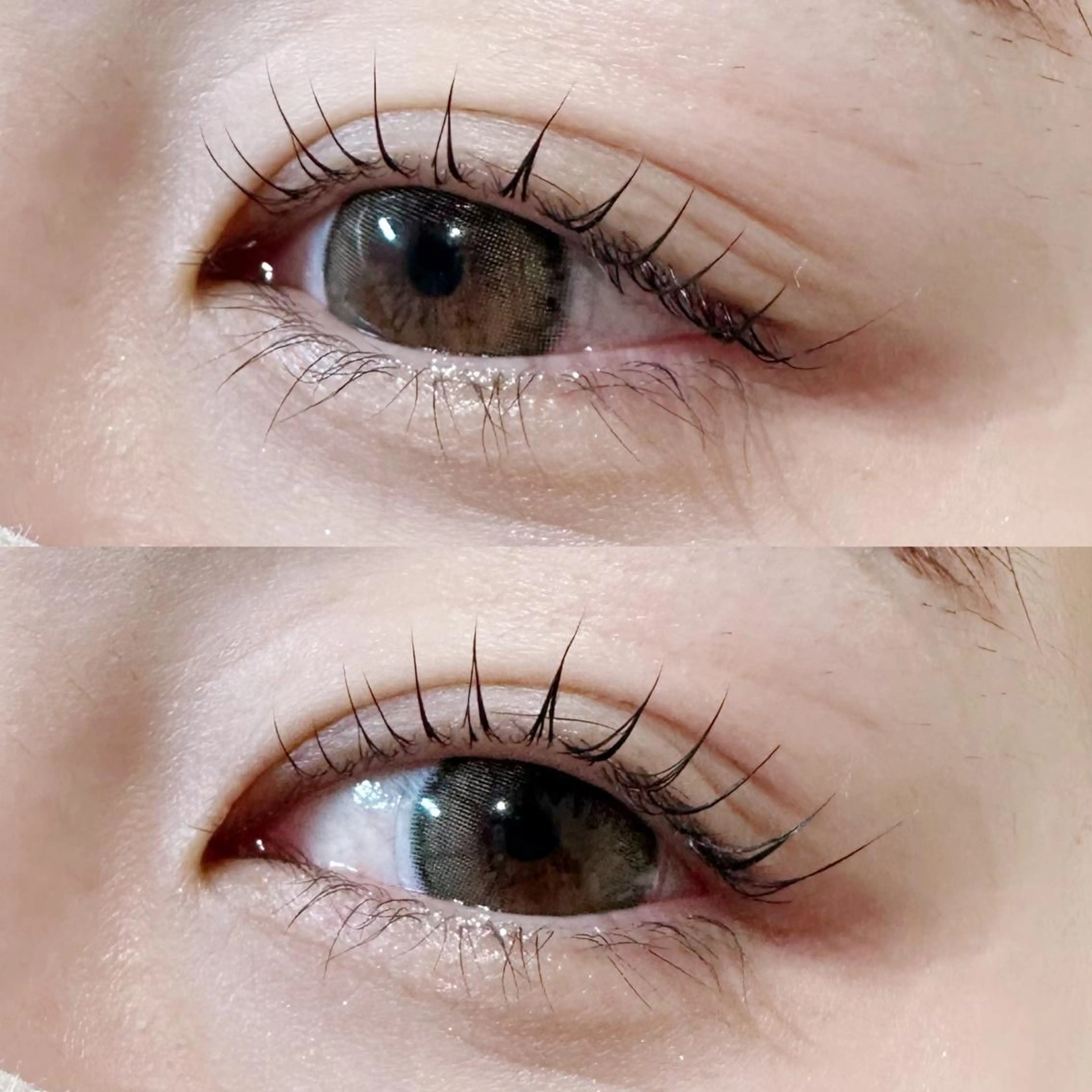 パリジェンヌラッシュリフト(極上トリートメント付)の写真