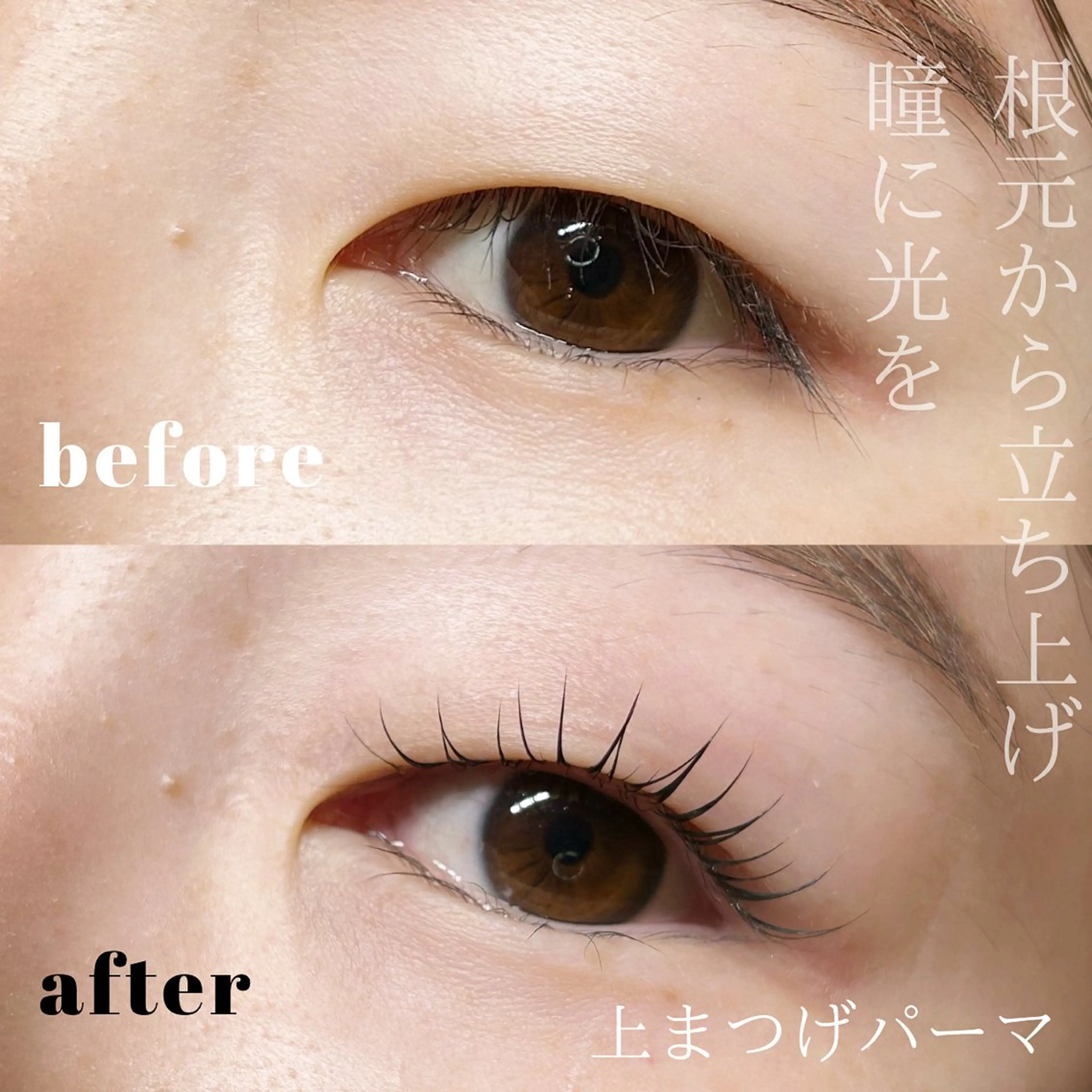 マツエク・マツパ 一重×まつ毛パーマ マツパ times salon所属・ボウ🪞ヘアセット /マツパ/眉毛のマツエク・マツパデザイン