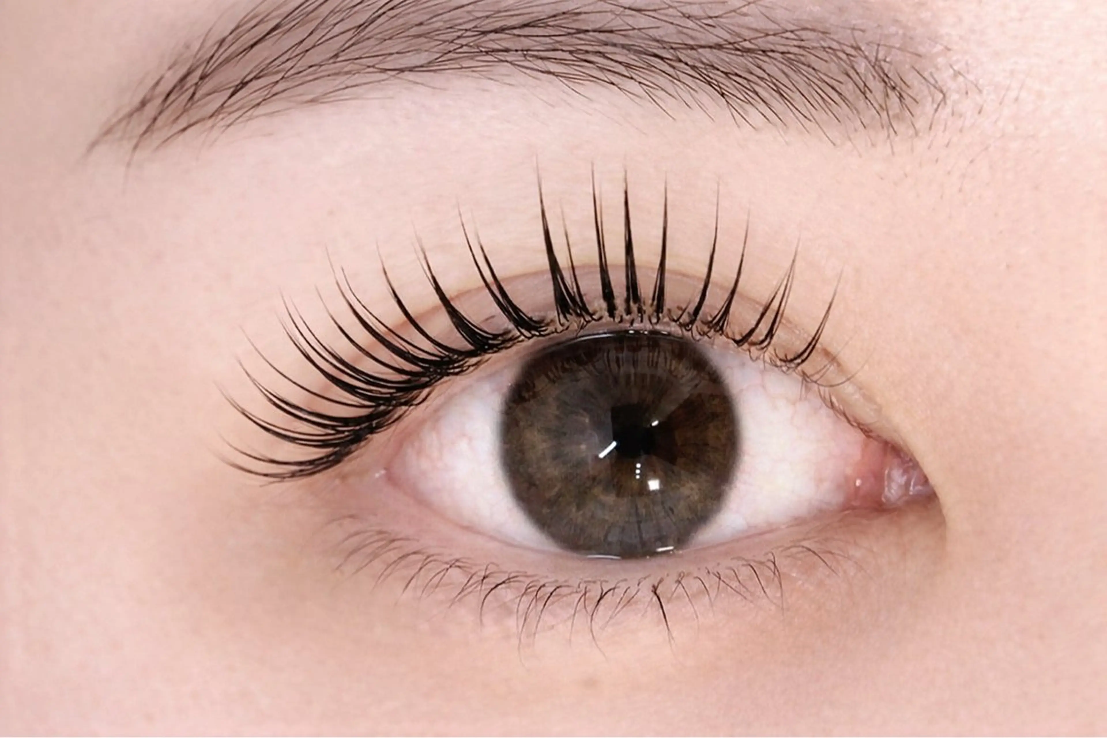 【4月限定🌸】ラッシュリフト(まつ毛パーマ)¥4,980✨コーティング付✨デザイン選択可(ナチュラル〜ぱっちり)の写真