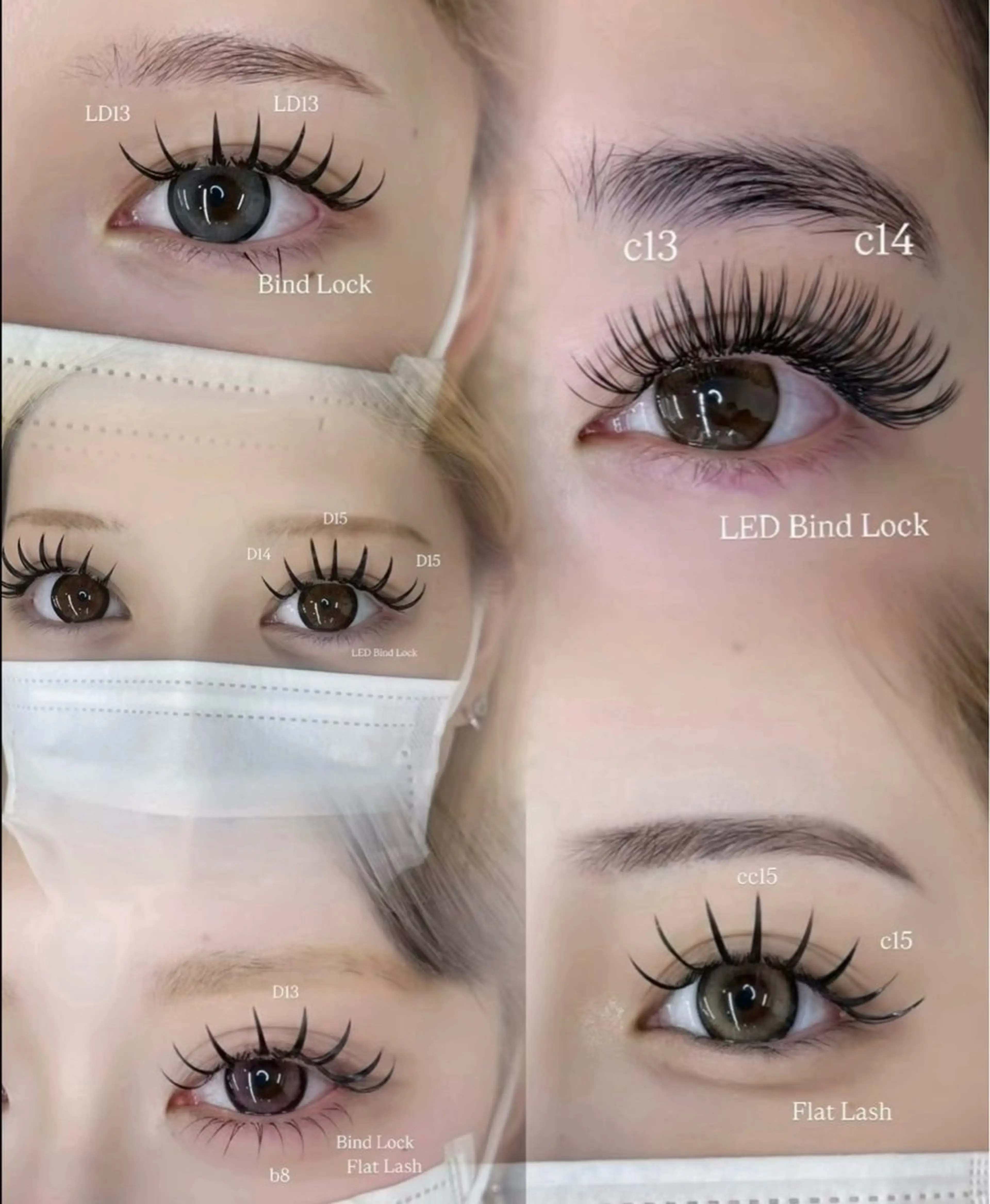 フラットラッシュ140本の写真