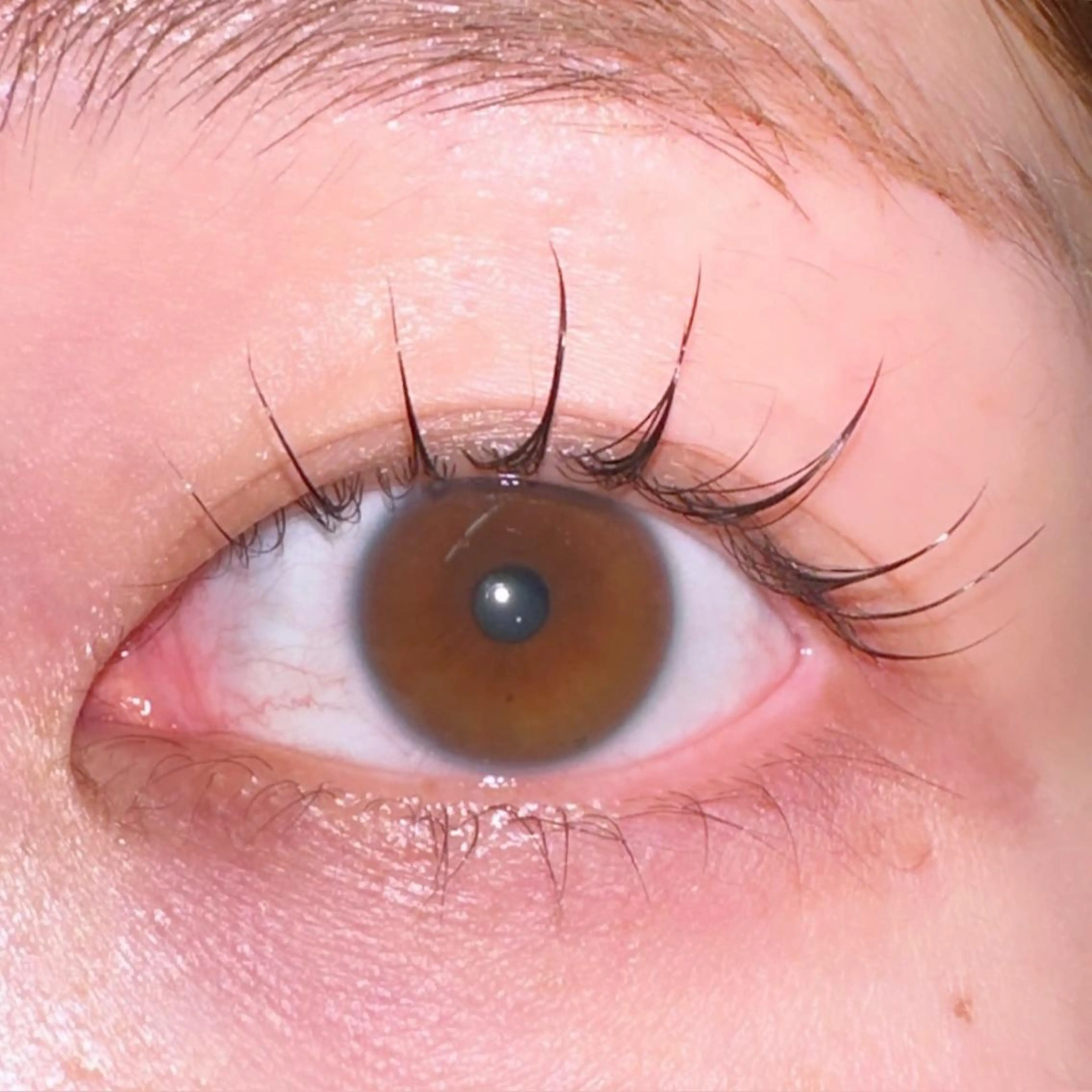 マツエク・マツパ マツパ 川畑🌻 アンジェリカ錦糸町のマツエク・マツパデザイン