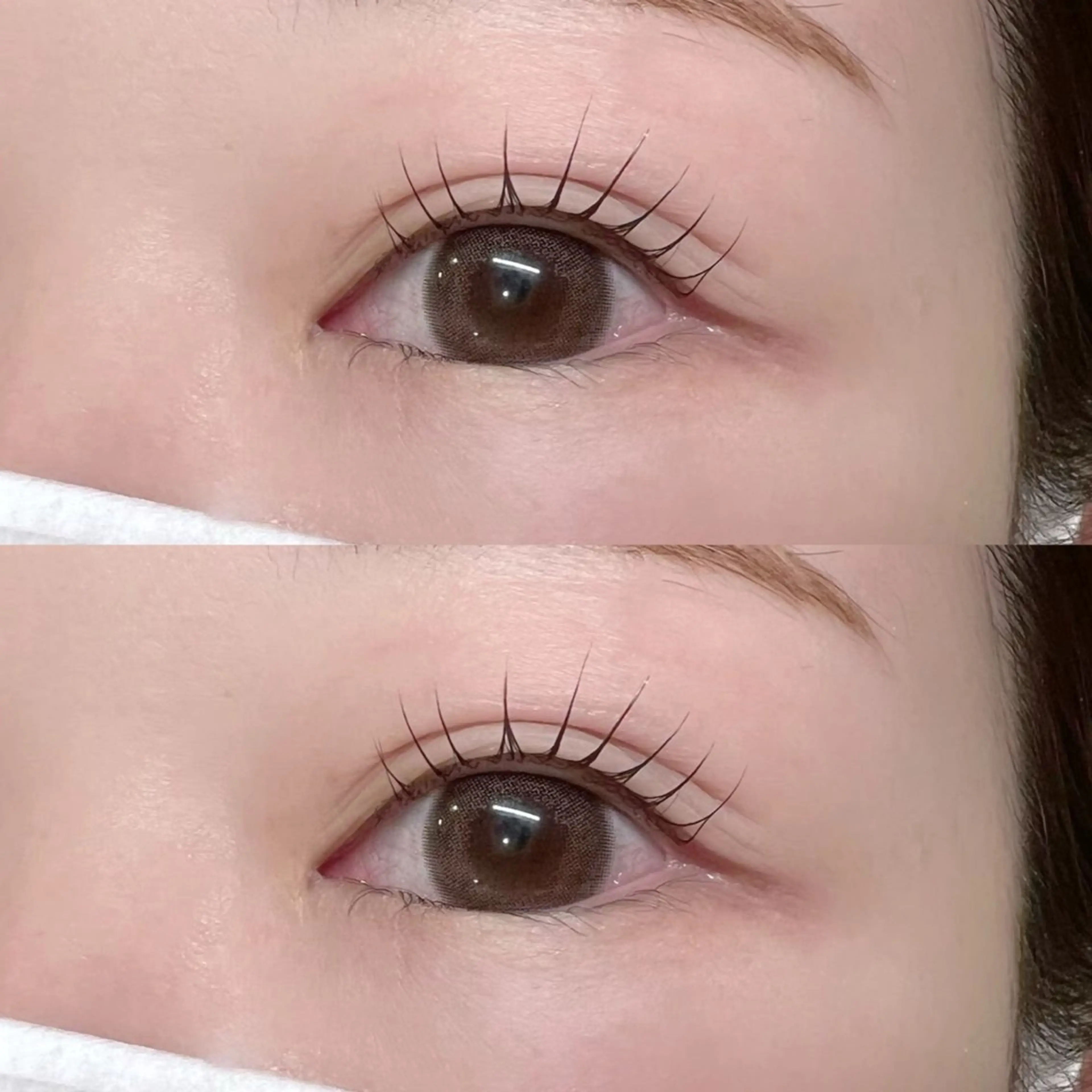 マツエク・マツパ バインドロック フラットラッシュ パリジェンヌラッシュリフト まつげパーマ 下まつげエクステ マツパ 🎀Lino 中目黒 TAKAMI🐈のマツエク・マツパデザイン