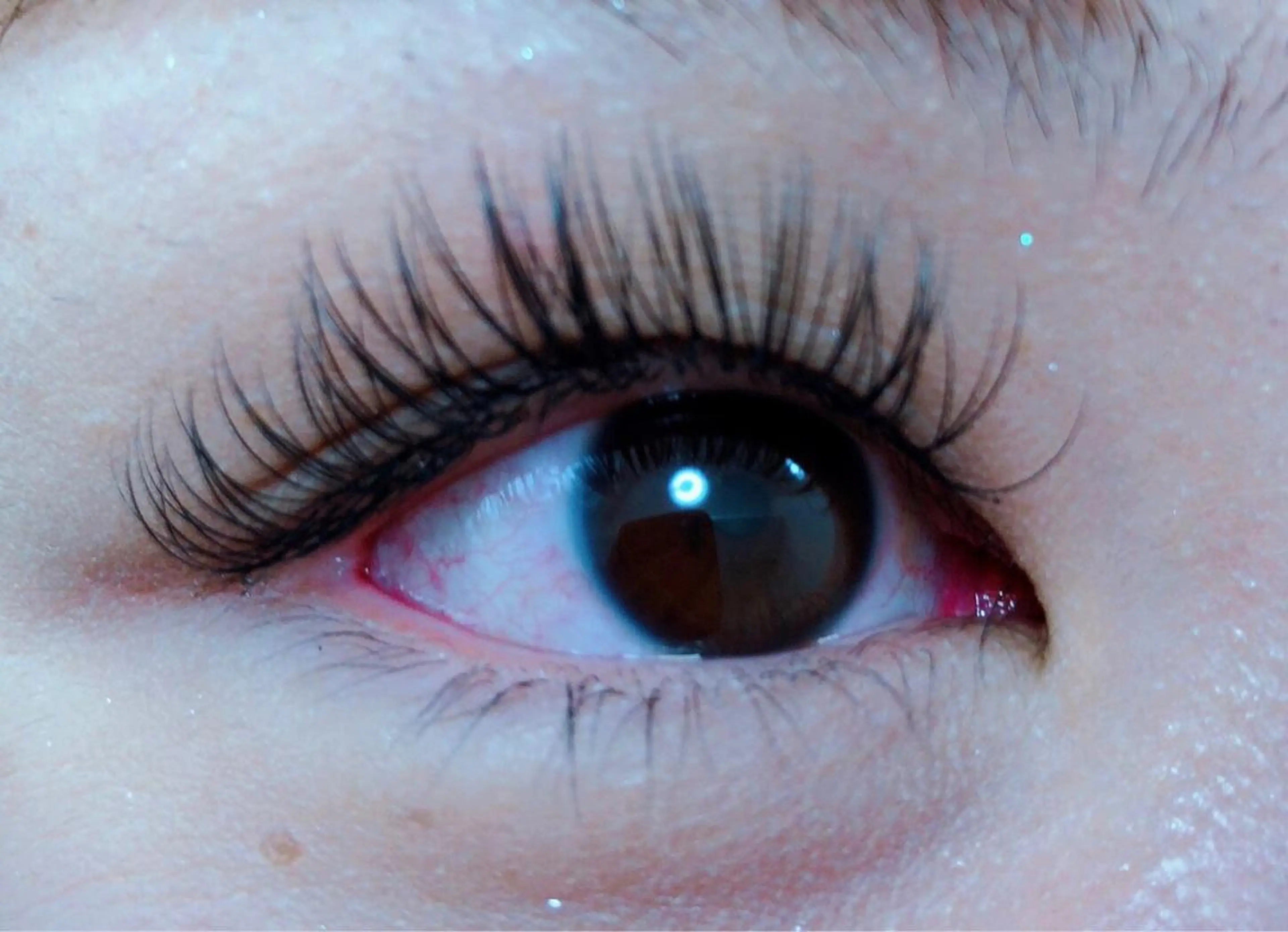 マツエク・マツパ Dカール フラットラッシュ Shinus シャイナスのマツエク・マツパデザイン