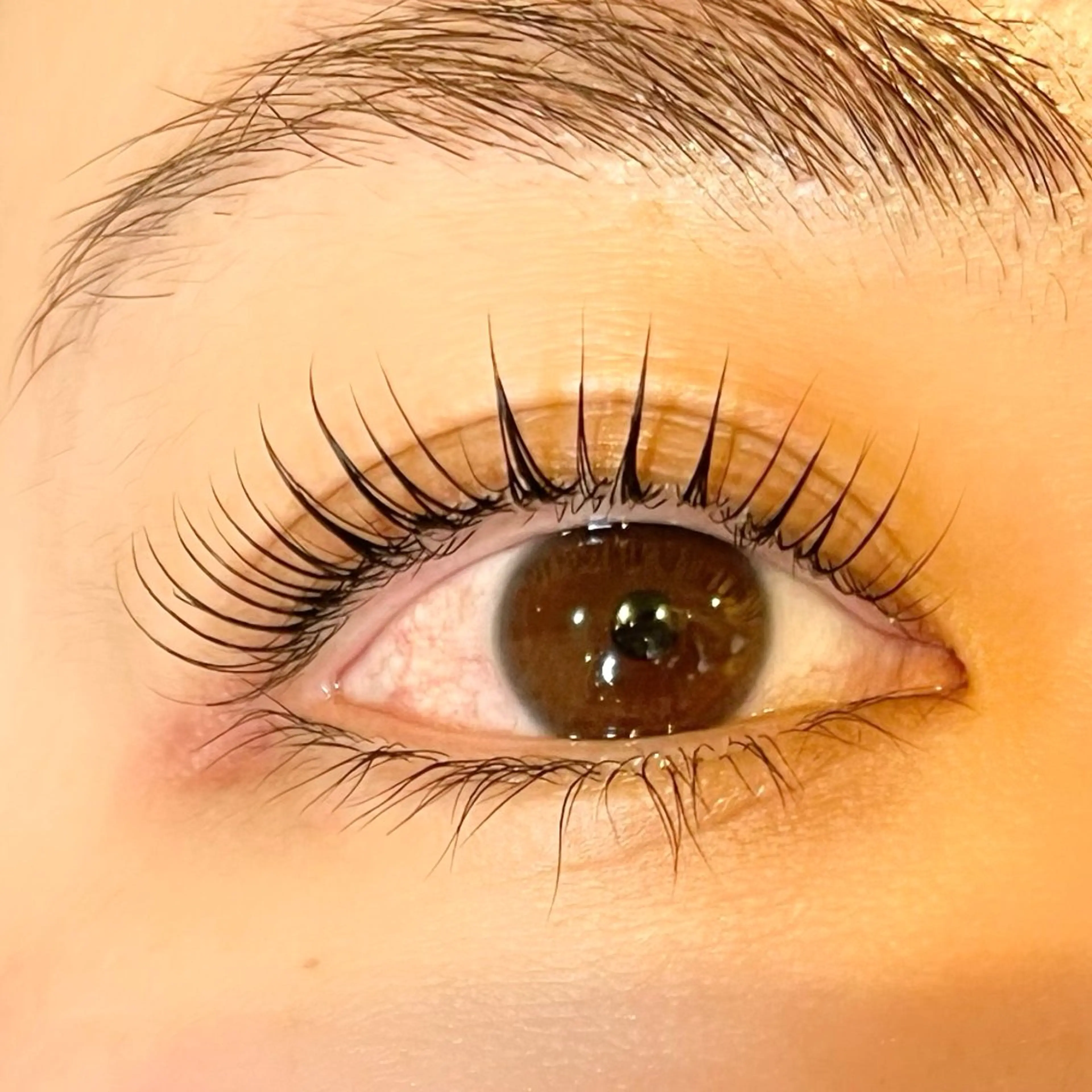 マツエク・マツパ 一重×まつ毛パーマ eyelash LOOPのマツエク・マツパデザイン