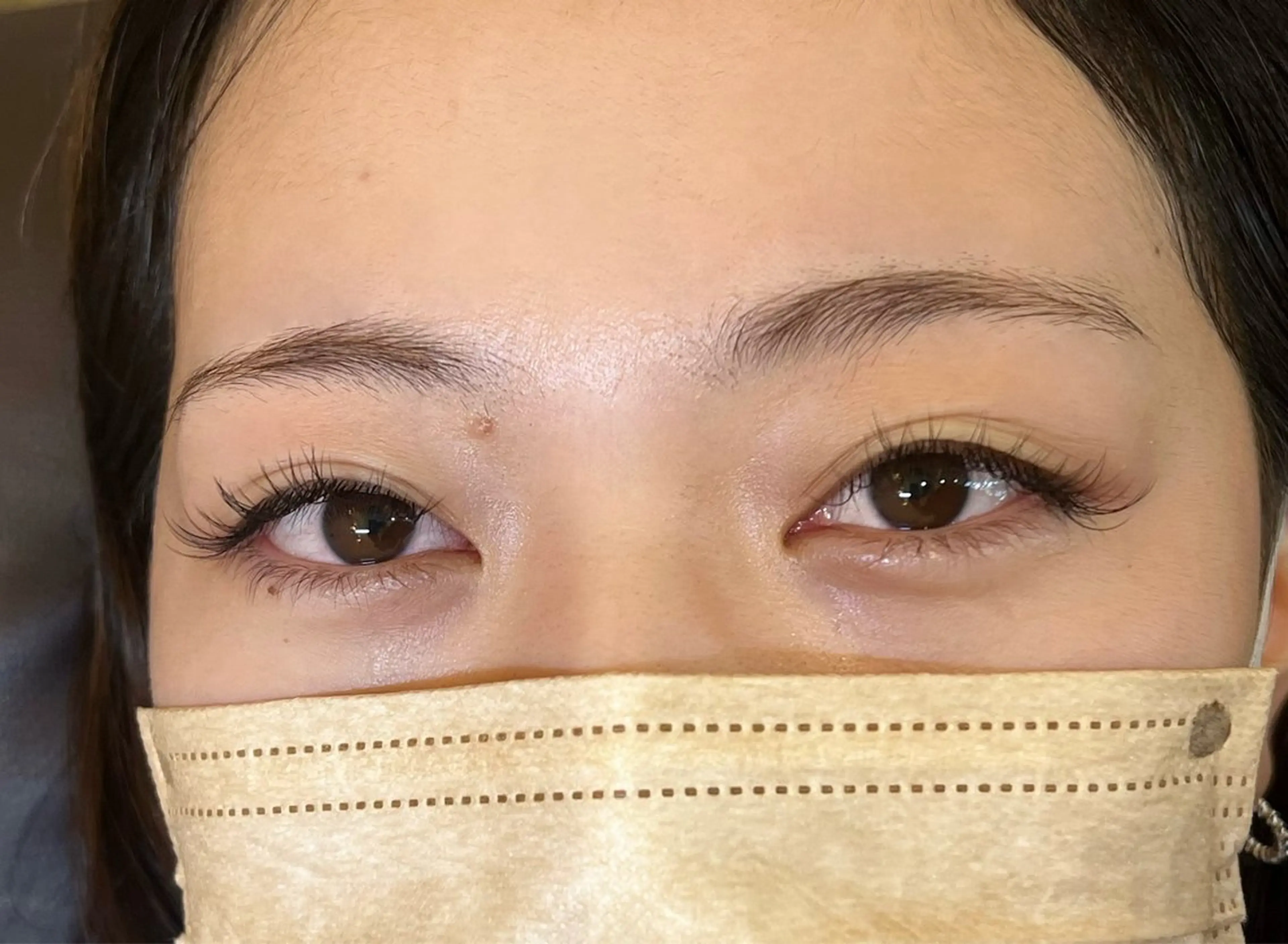 マツエク・マツパ 目尻長め セーブル しか ちゃんの眉毛・アイブロウイメージ