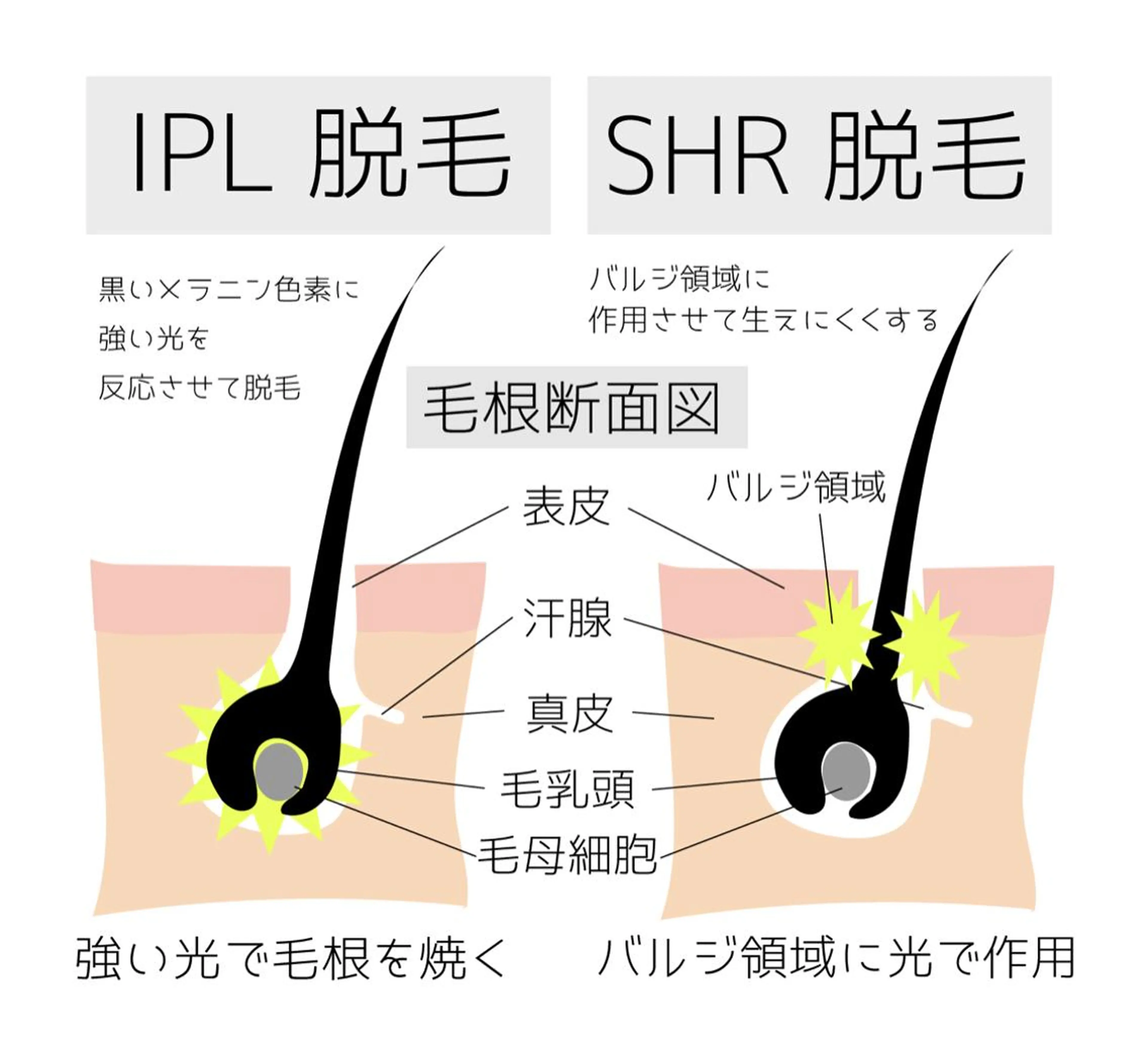 Porte beauteオーナーのエステ・リラクイメージ