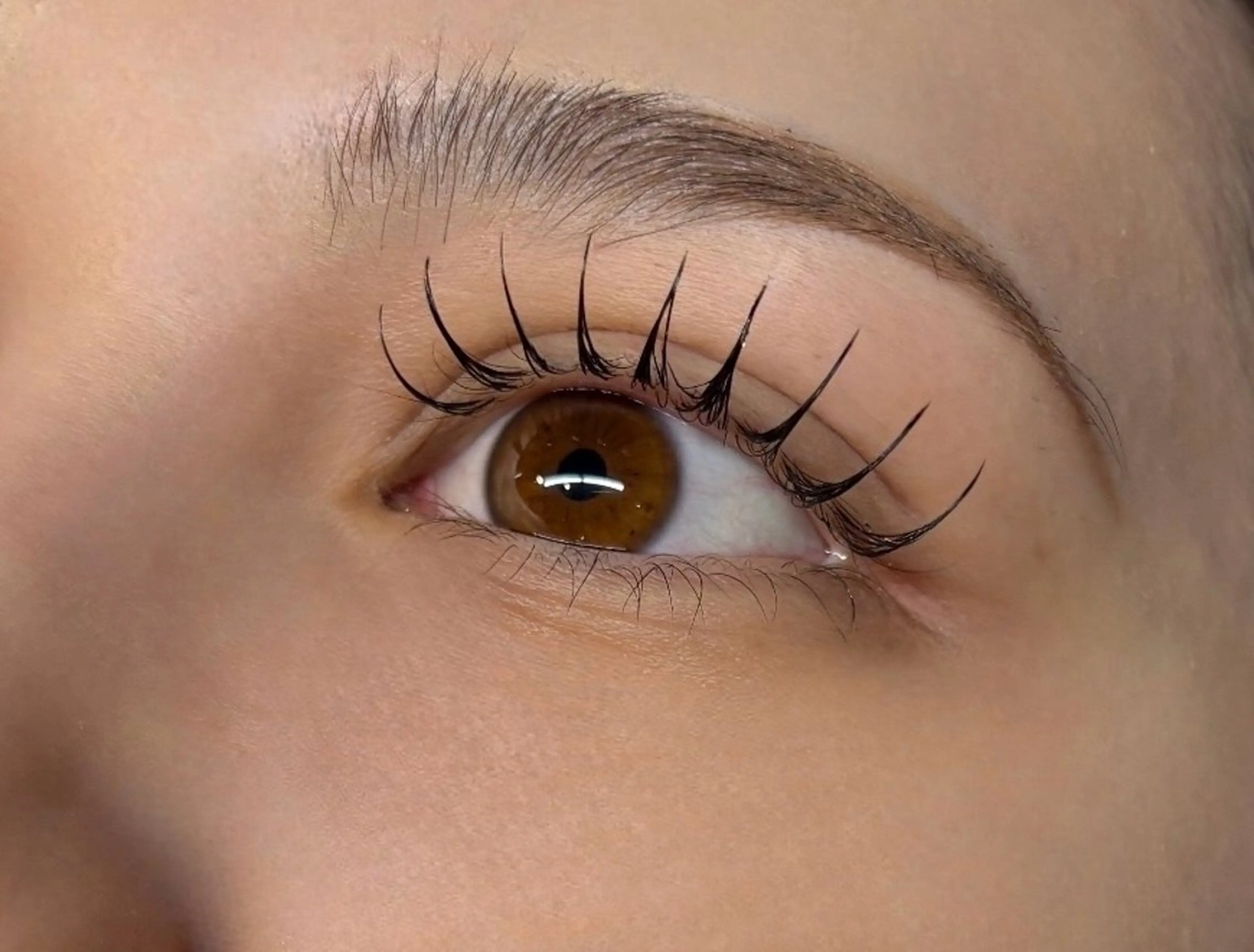 【4月15日限定】フラットラッシュ【100​〜​120本】の写真