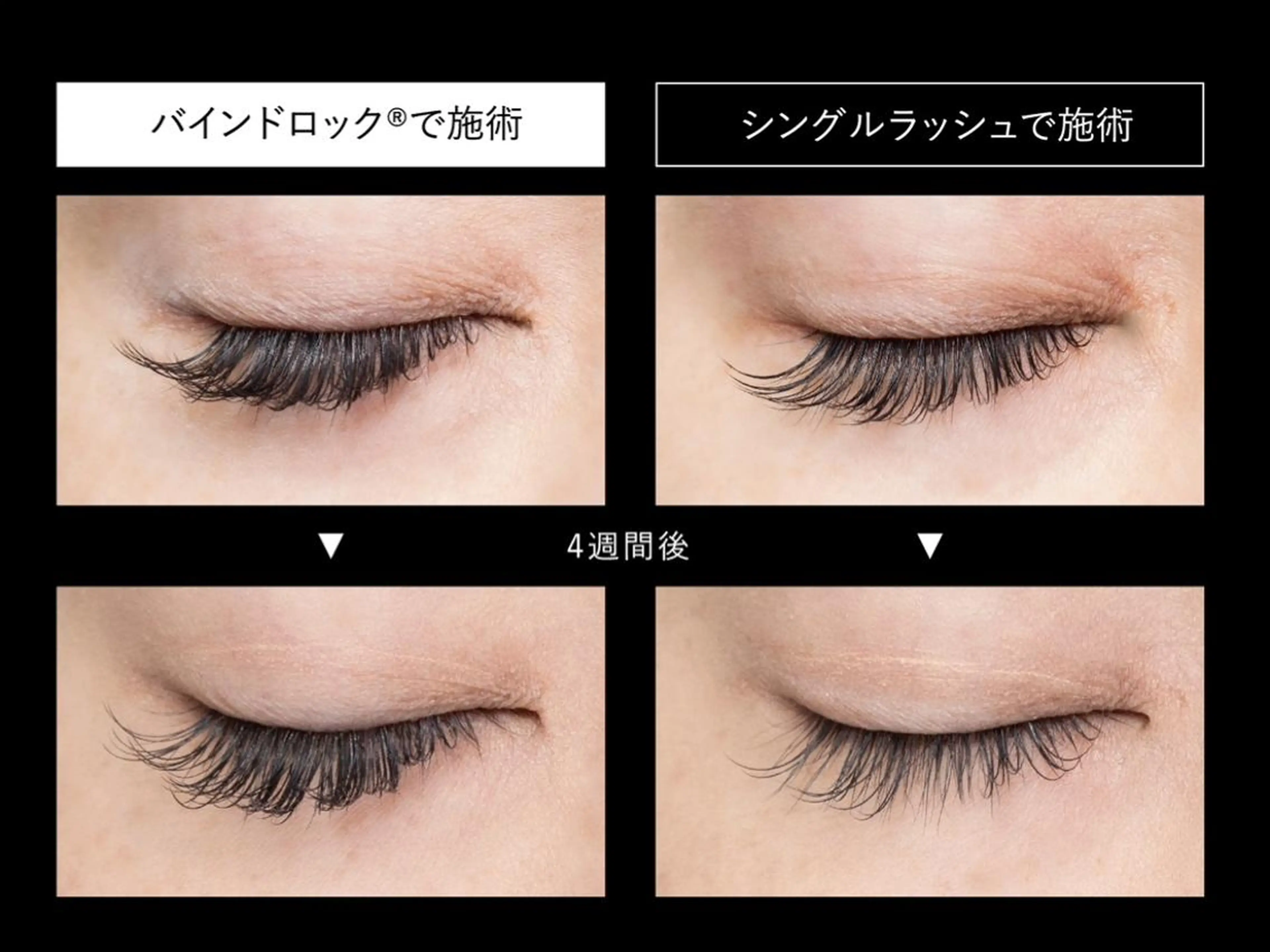 マツエク・マツパ wowvi ワウビーの眉毛・アイブロウイメージ