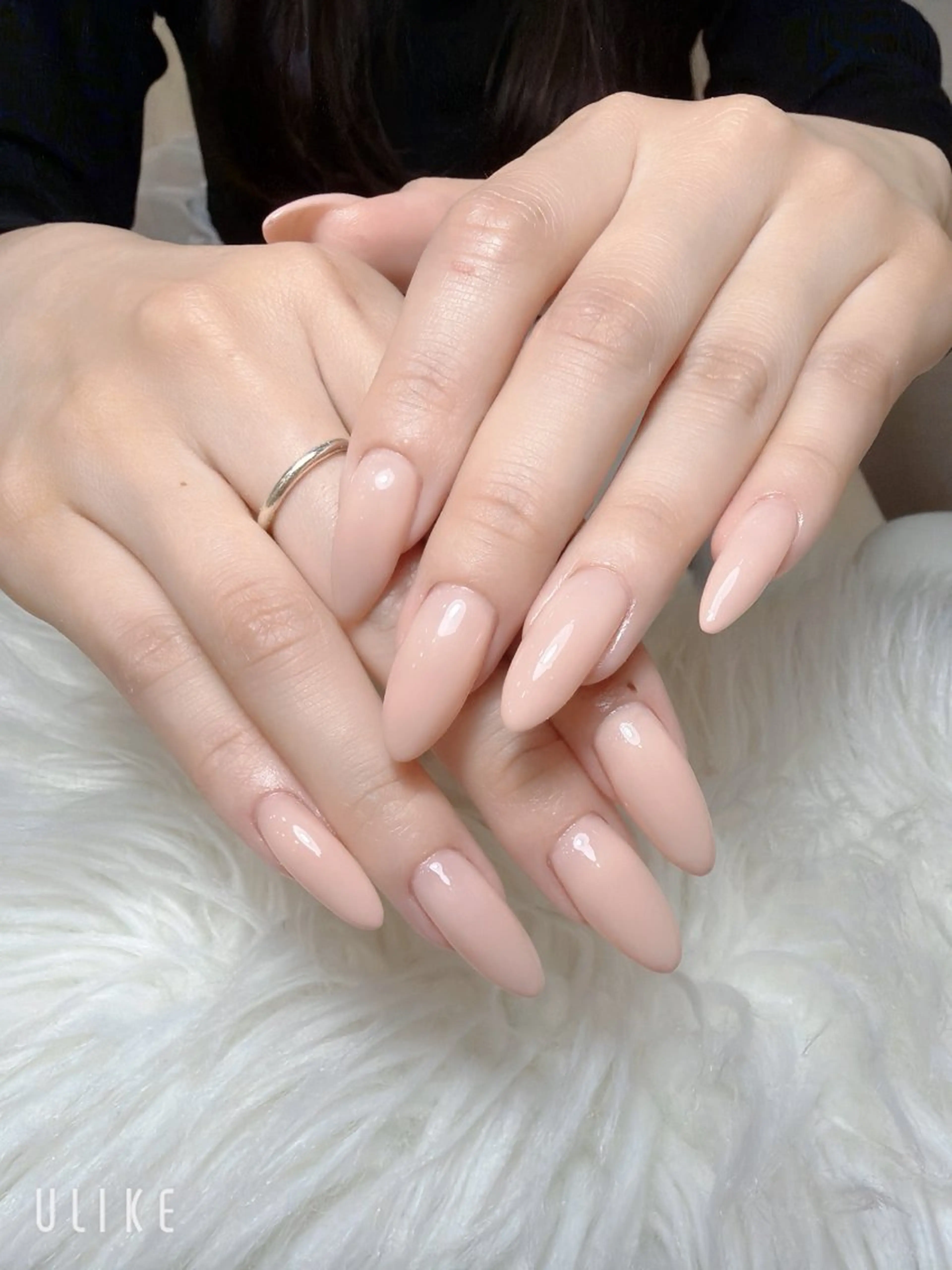 ワンカラーの写真