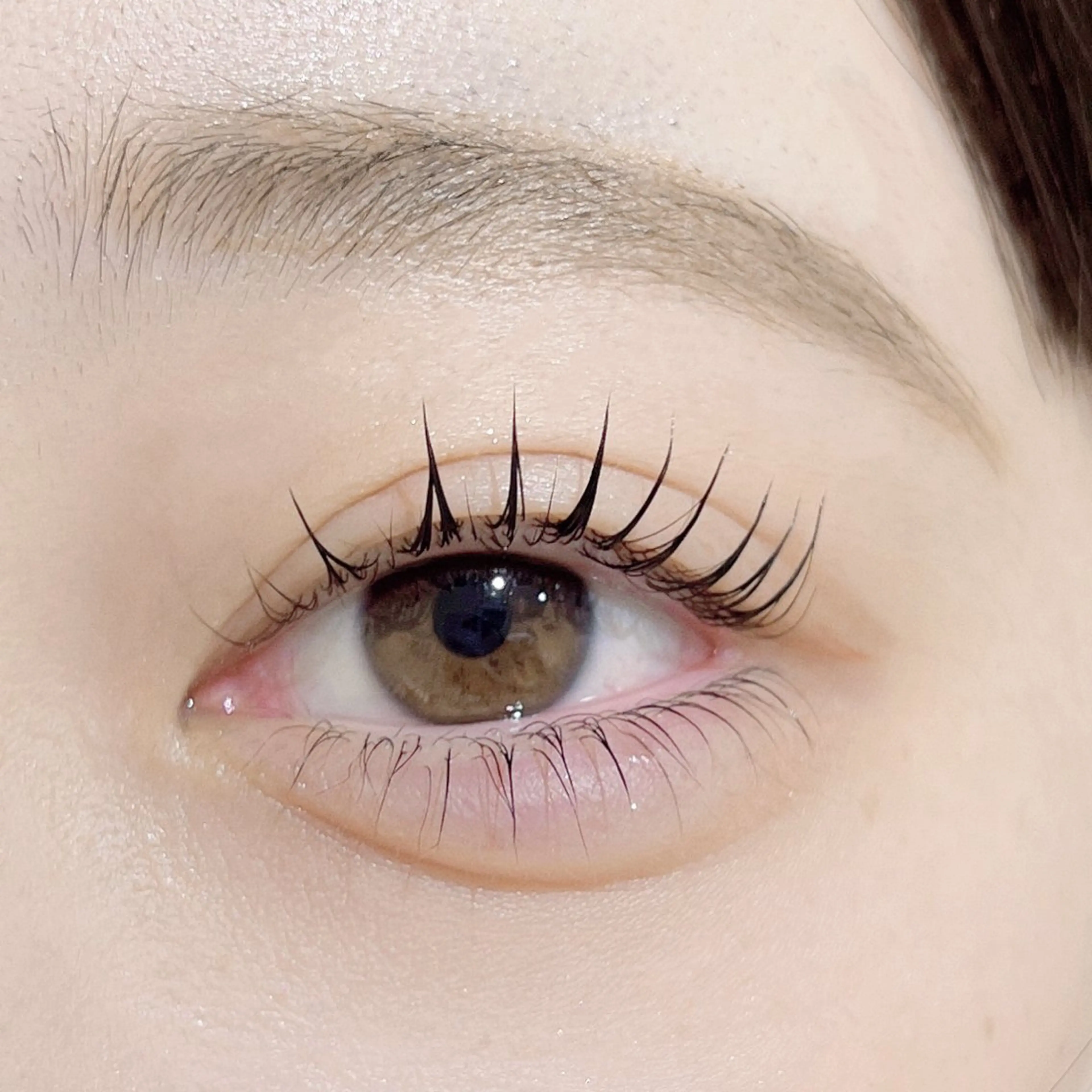 マツエク・マツパ パリジェンヌラッシュリフト マツパ eyelist 馬場のマツエク・マツパデザイン