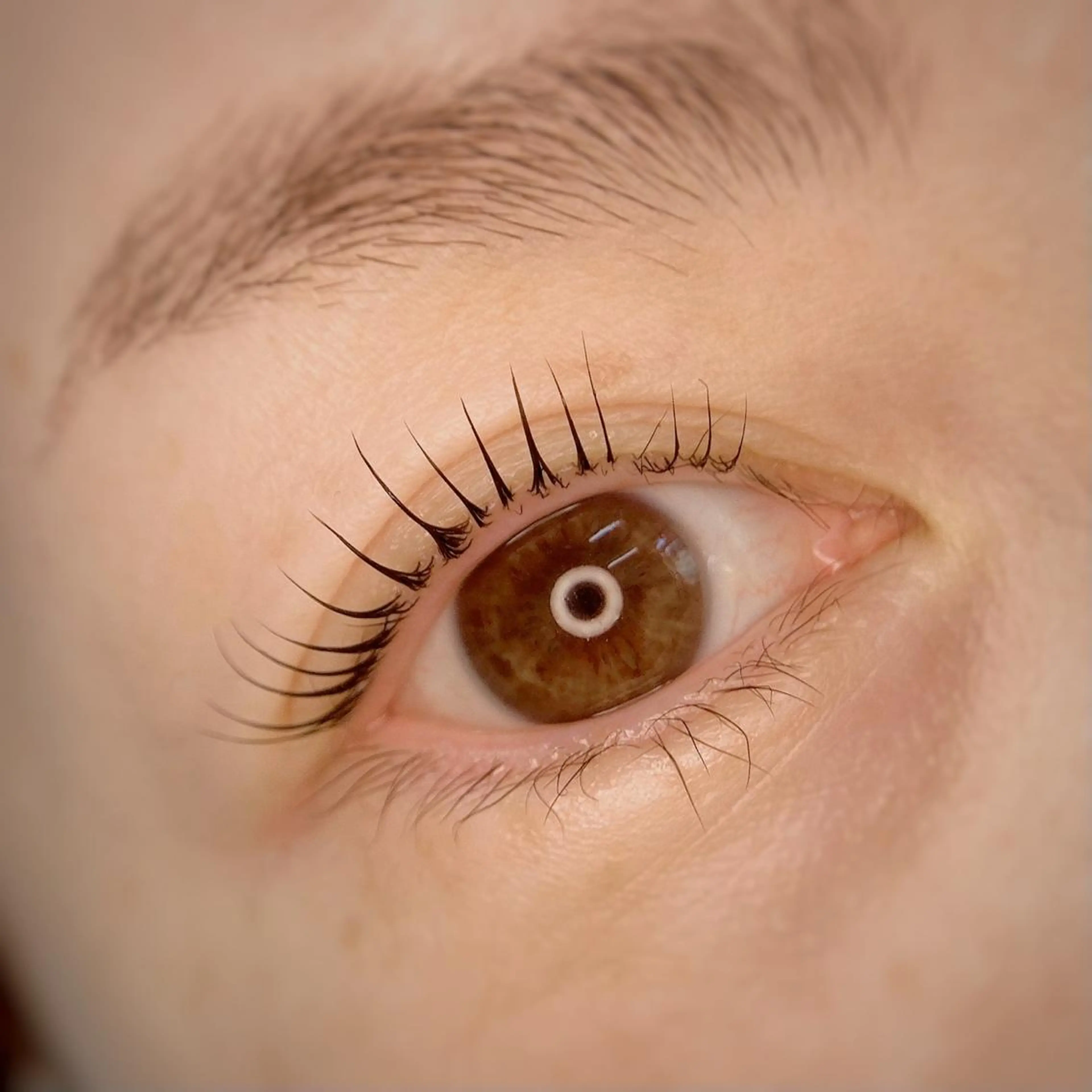 マツエク・マツパ アマビリス amabilisのマツエク・マツパデザイン