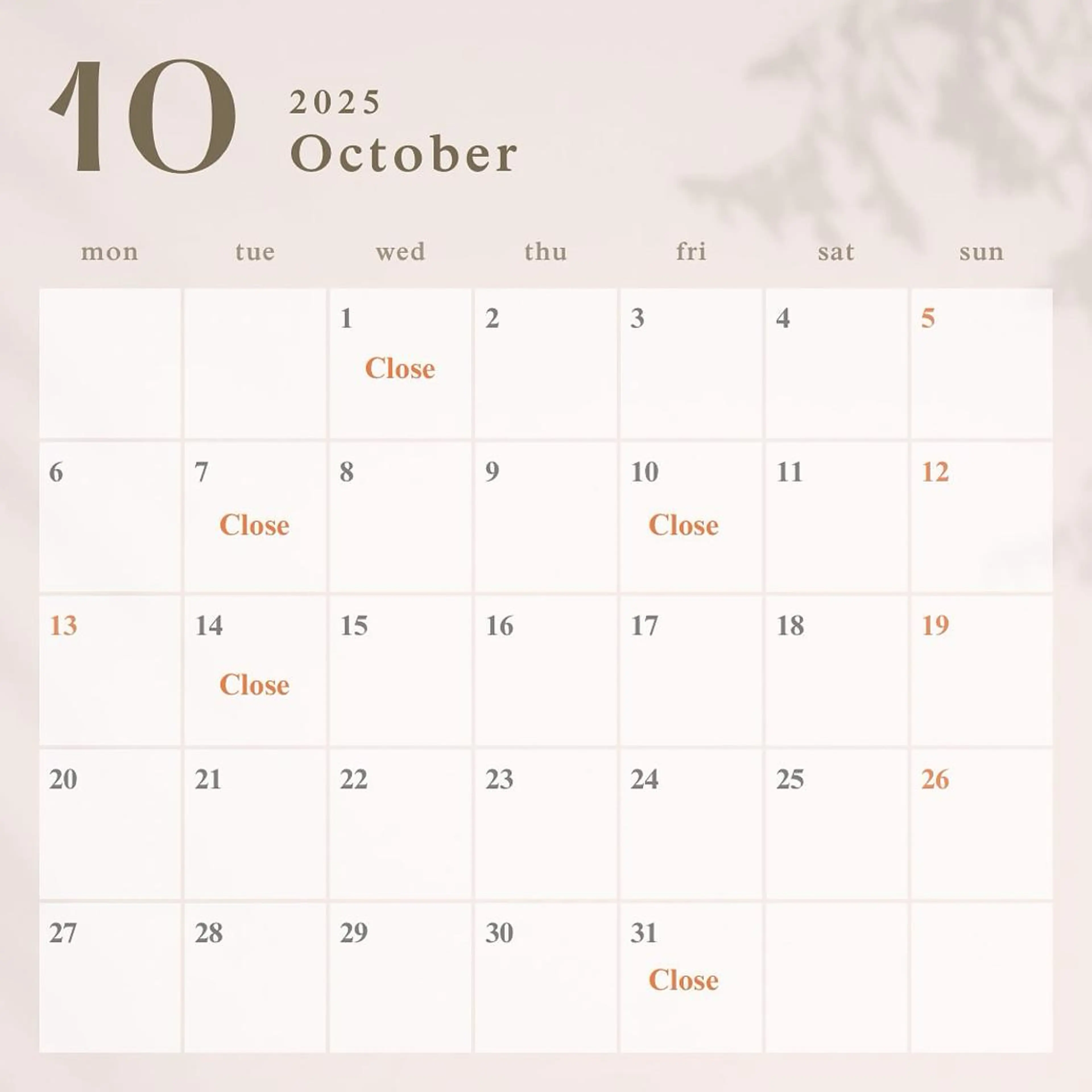 脱毛 鈴木 愛花の眉毛・アイブロウイメージ