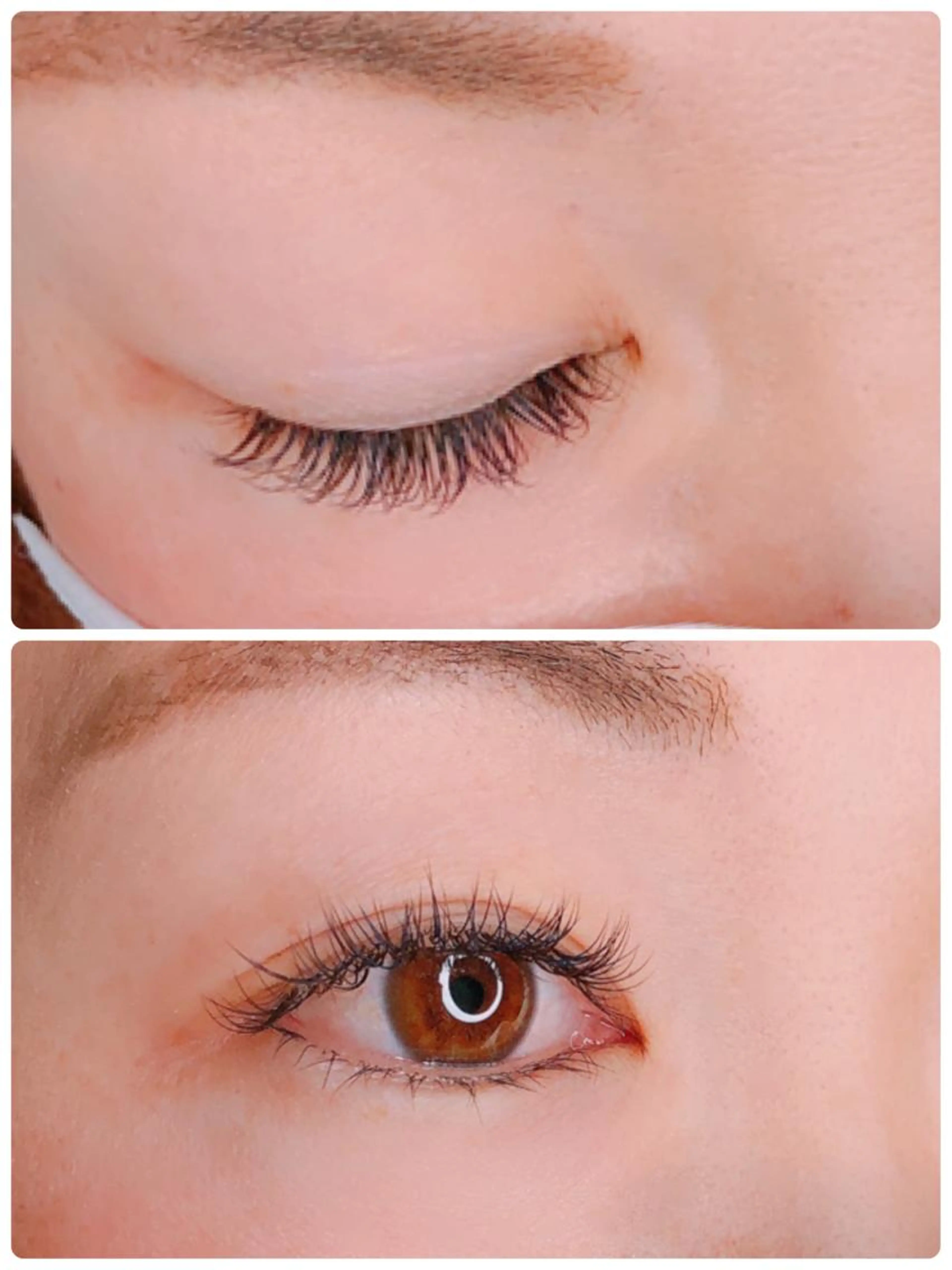 フラット・シングルラッシュ(両目100本)の写真