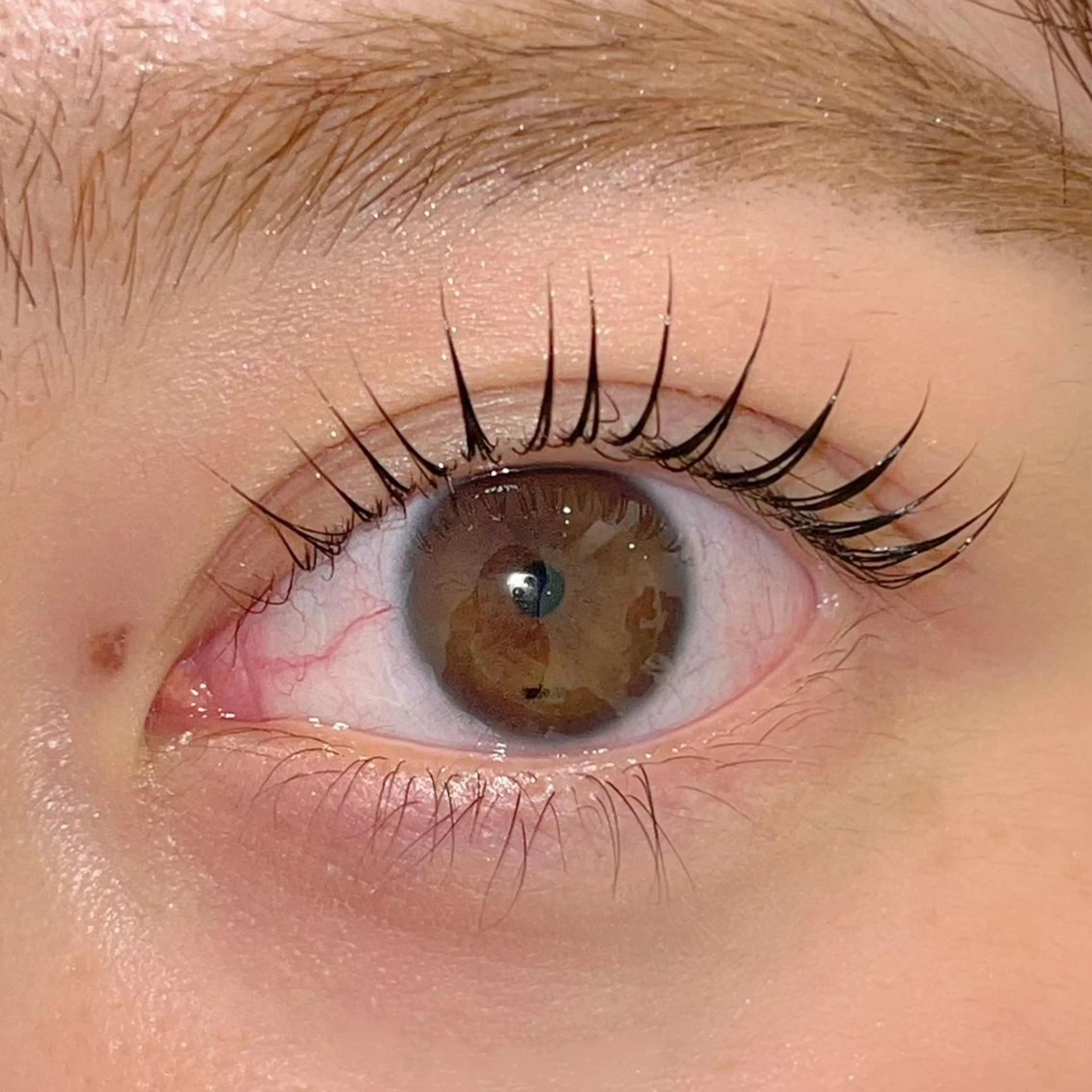 マツエク・マツパ パリジェンヌラッシュリフト まつげパーマ ai一重専門🎀束感 まつげ🫧表参道のマツエク・マツパデザイン