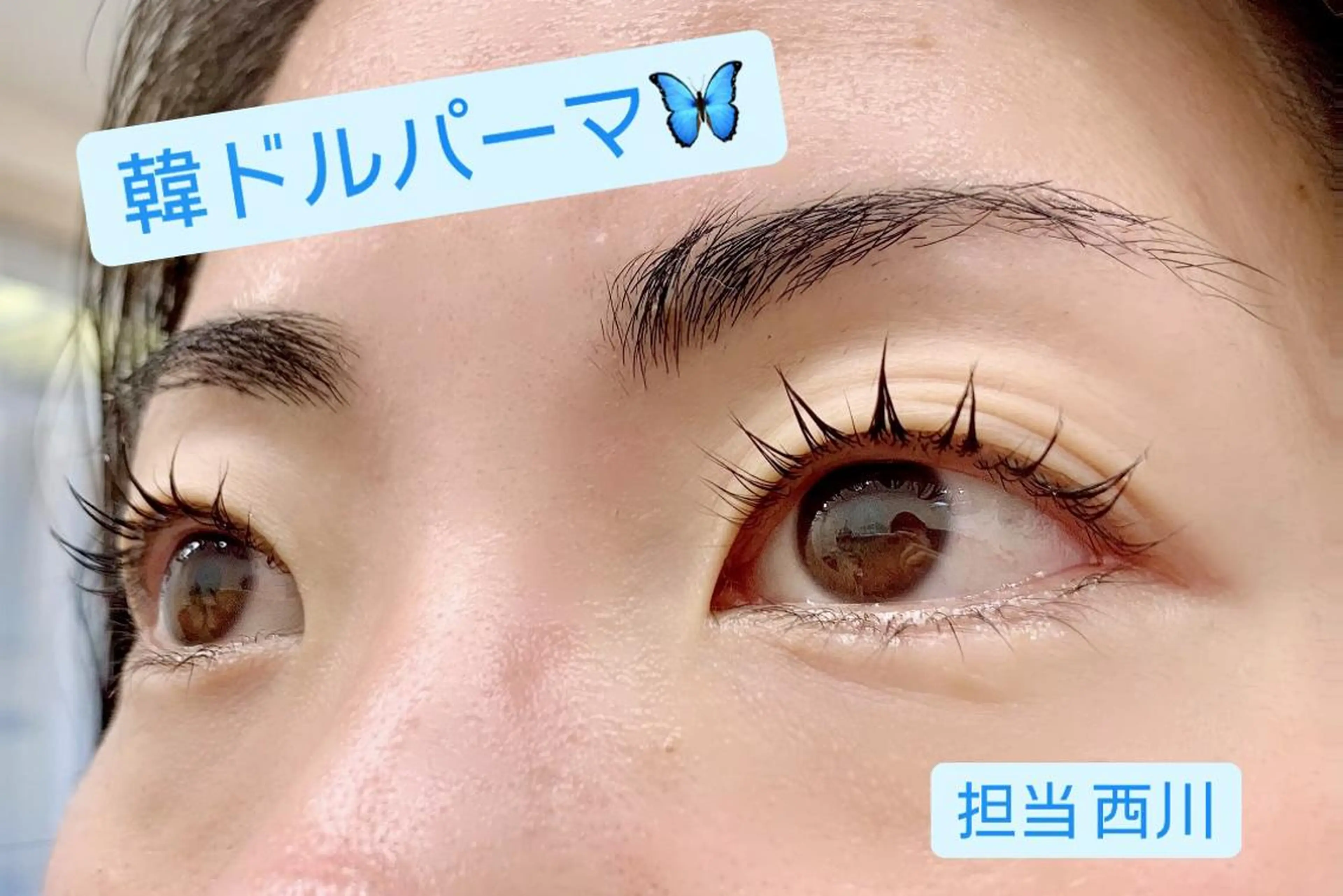 マツエク・マツパ マツパ プラスアイ 蒲田西口店のマツエク・マツパデザイン