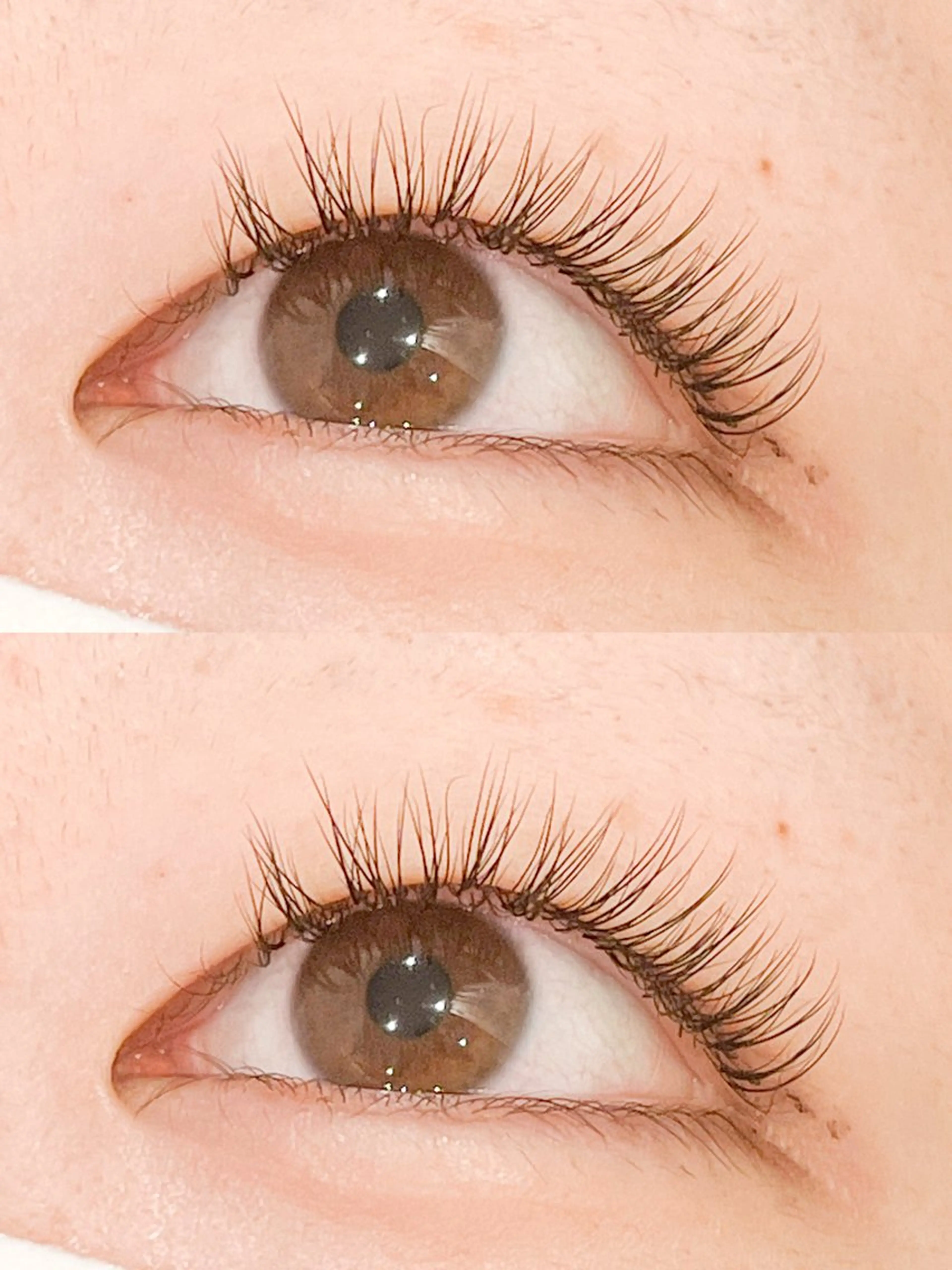 マツエク・マツパ キュート Belle fee 根本のマツエク・マツパデザイン