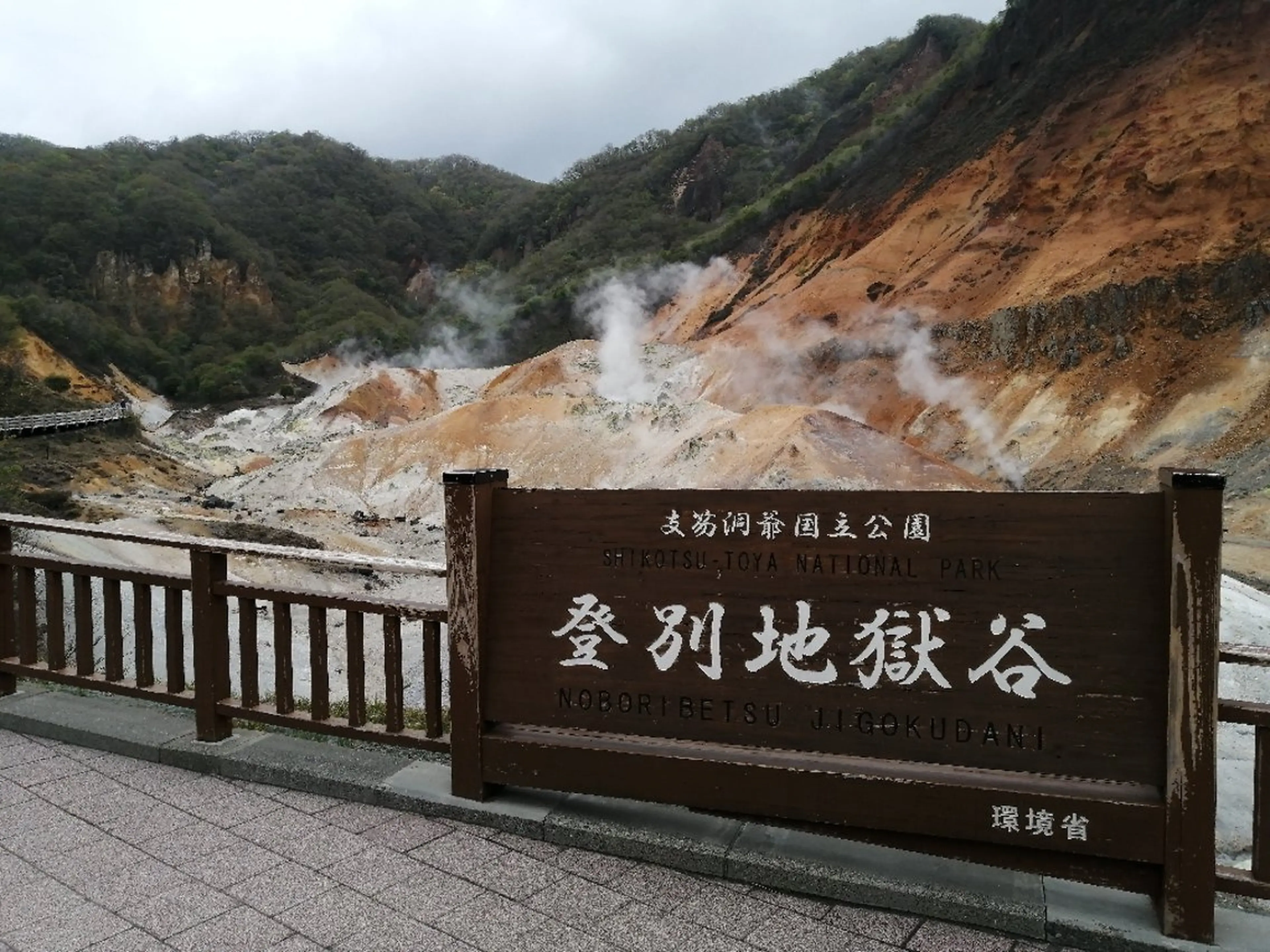 D/i所属・D/i |Y/no. 〈夜スパ17時〜〉のヘアスタイル