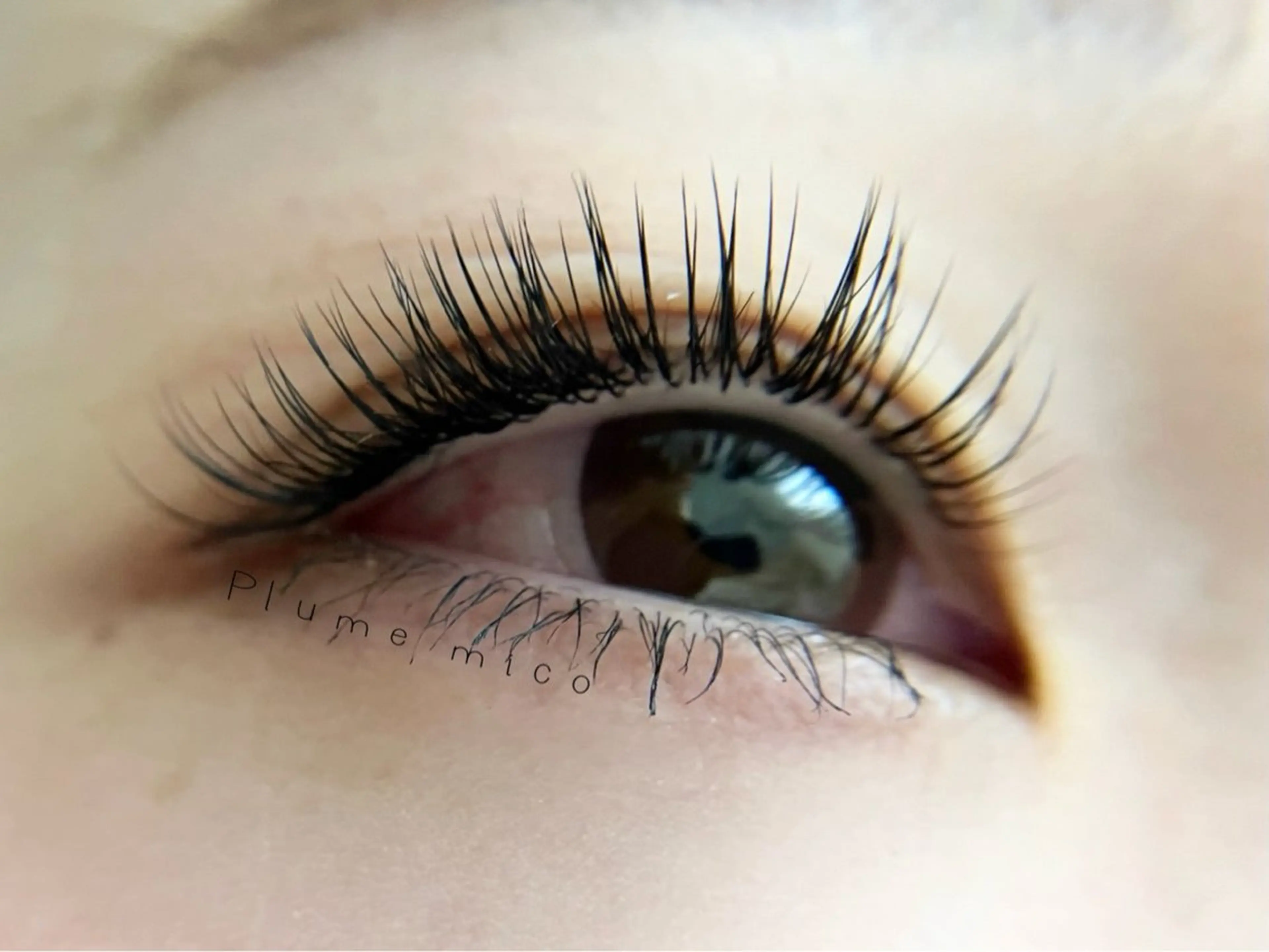 マツエク・マツパ マツエク Plume micoのマツエク・マツパデザイン