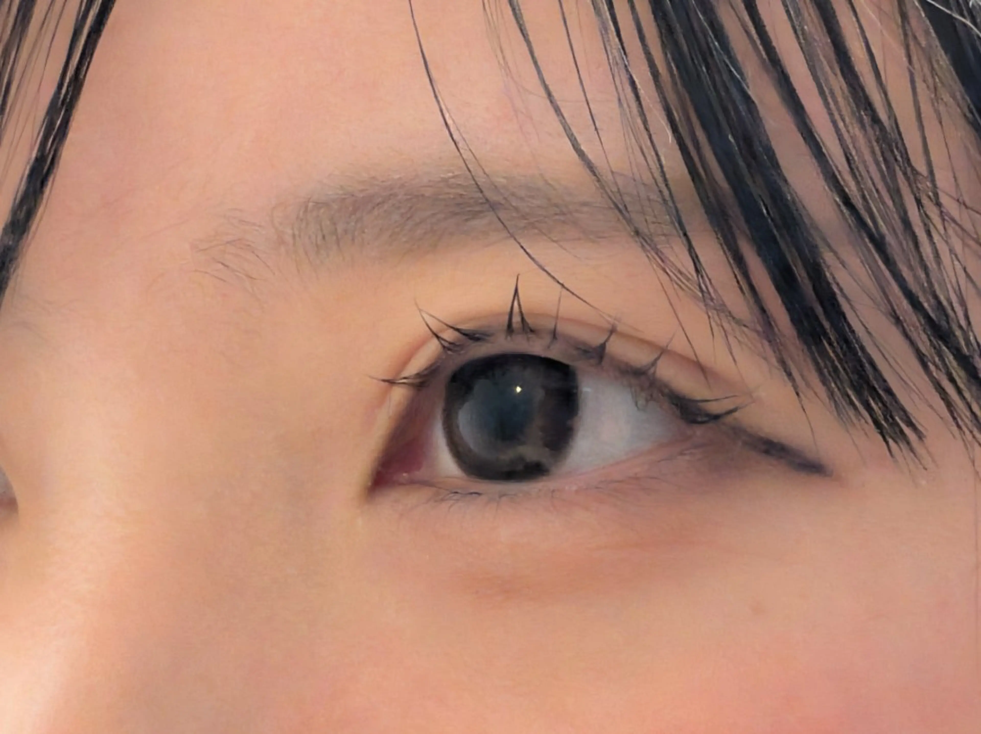 マツエク・マツパ まつげパーマ Sun Brown Ryu-gaのマツエク・マツパデザイン