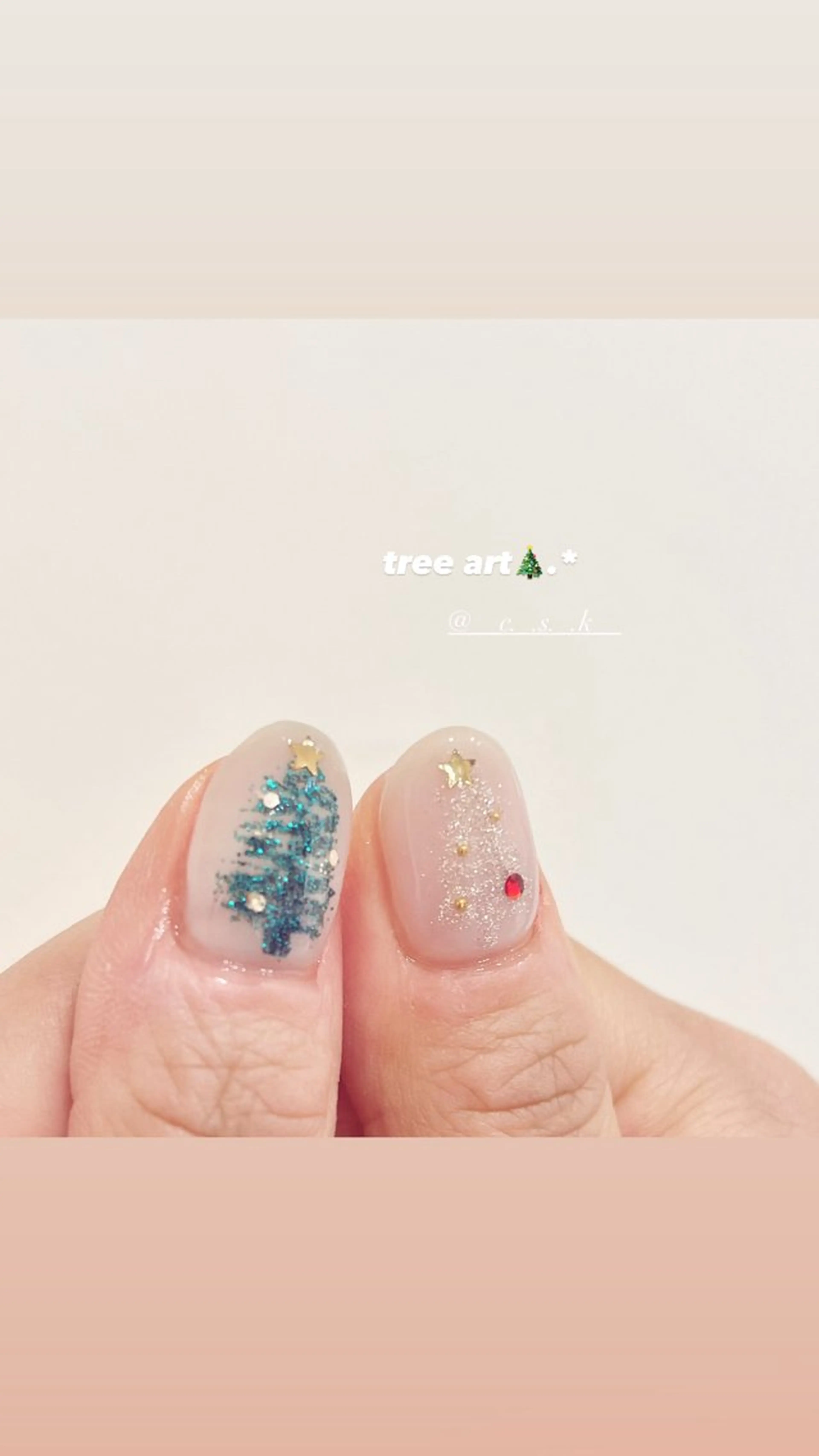 ネイル アートネイル クリアネイル ハンドネイル 🎀チーク/ちゅるん 🫧chisa🎀のネイルデザイン