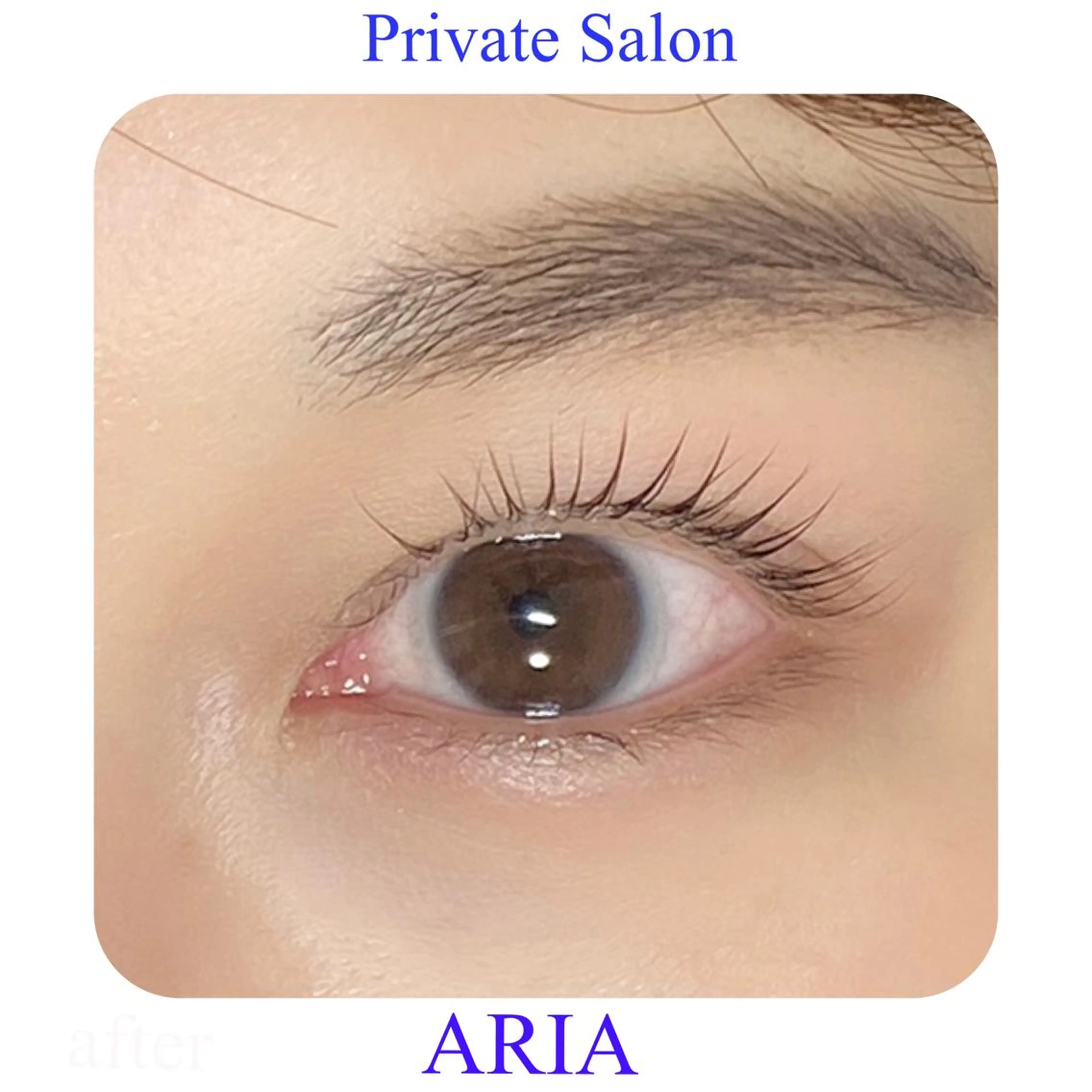 マツエク・マツパ まつげパーマ マツパ ARIAプライベート サロン五反田のマツエク・マツパデザイン