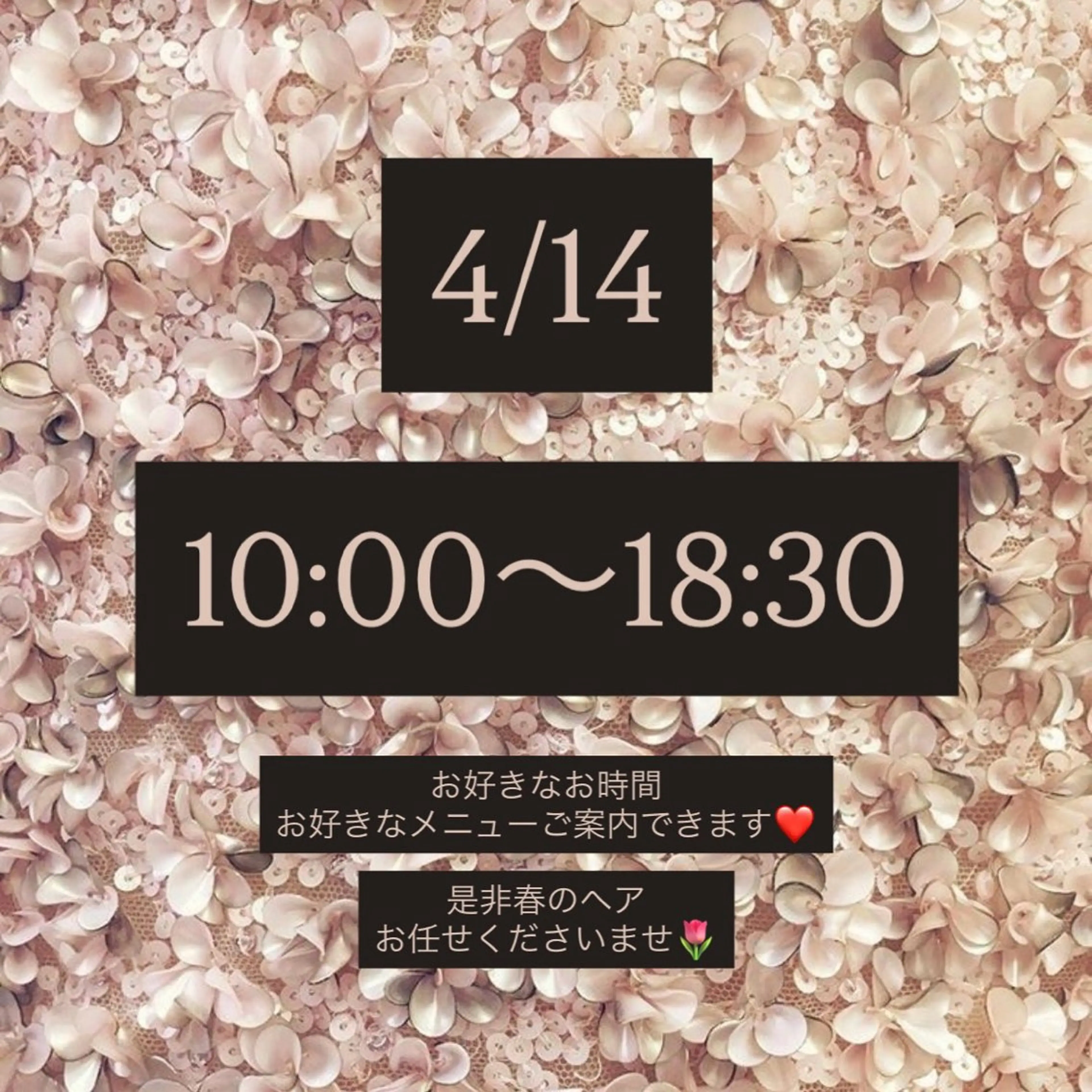 ショート カラー カット ヘアカラー ボブ/ショ ート/タカダアスミのヘアスタイル