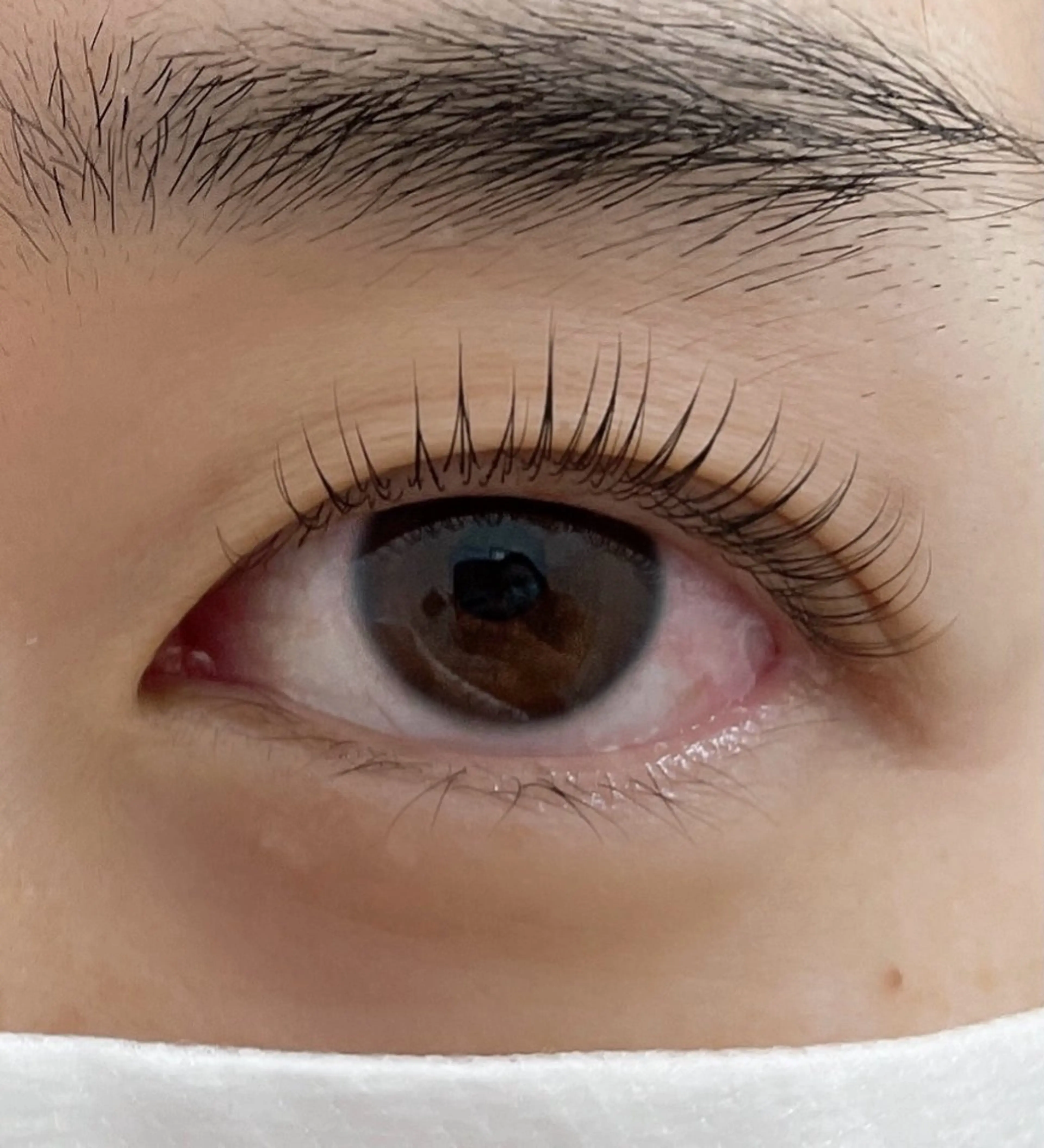 マツエク・マツパ マツパ eyelash CLAYの眉毛・アイブロウイメージ