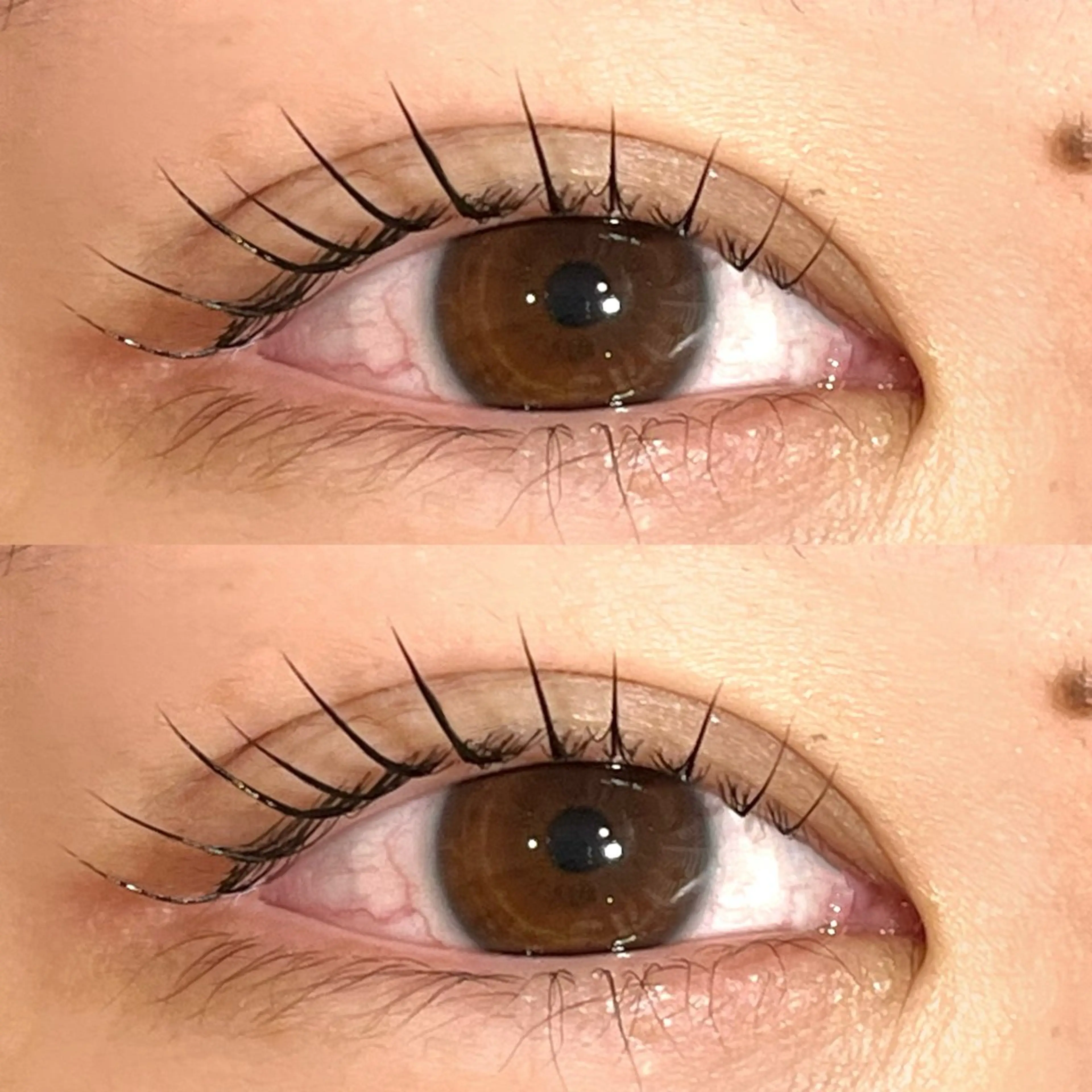 マツエク・マツパ Lカール パリジェンヌラッシュリフト 縁と縁enn-to-yukari所属・金倉 彩乃のマツエク・マツパデザイン