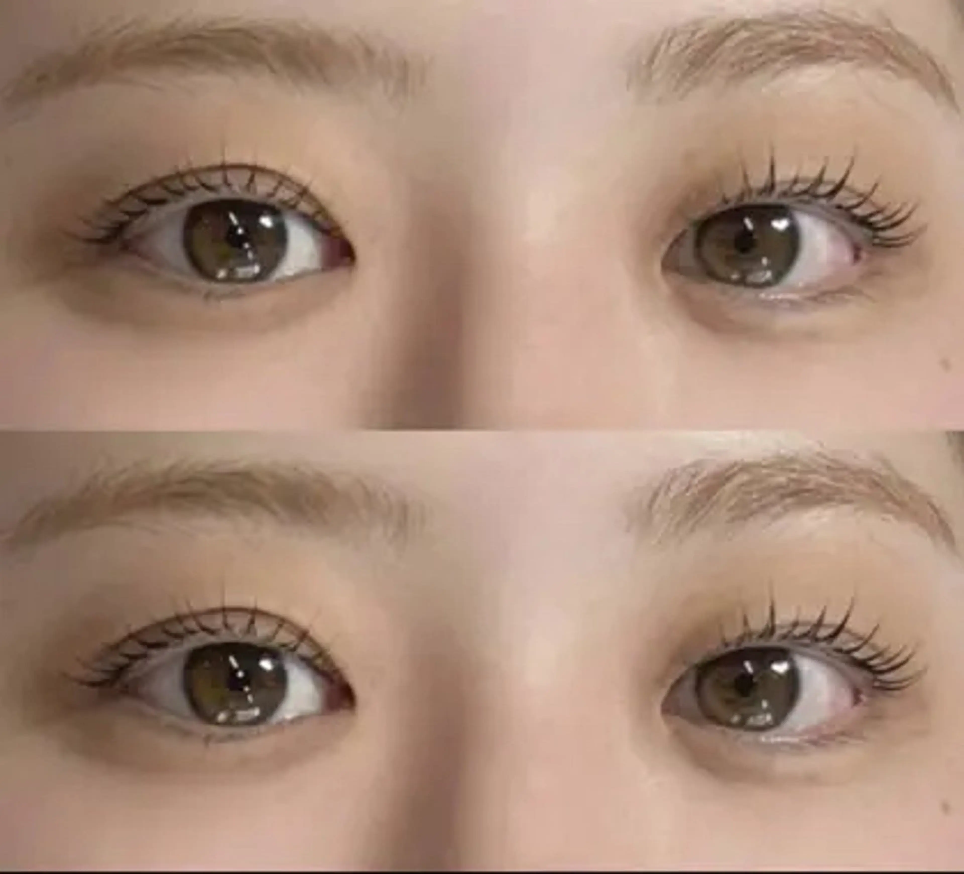 《4月20日(月)12時・15時・17時30分限定》まつ毛パーマ☆練習モデル様（オフ不可）の写真