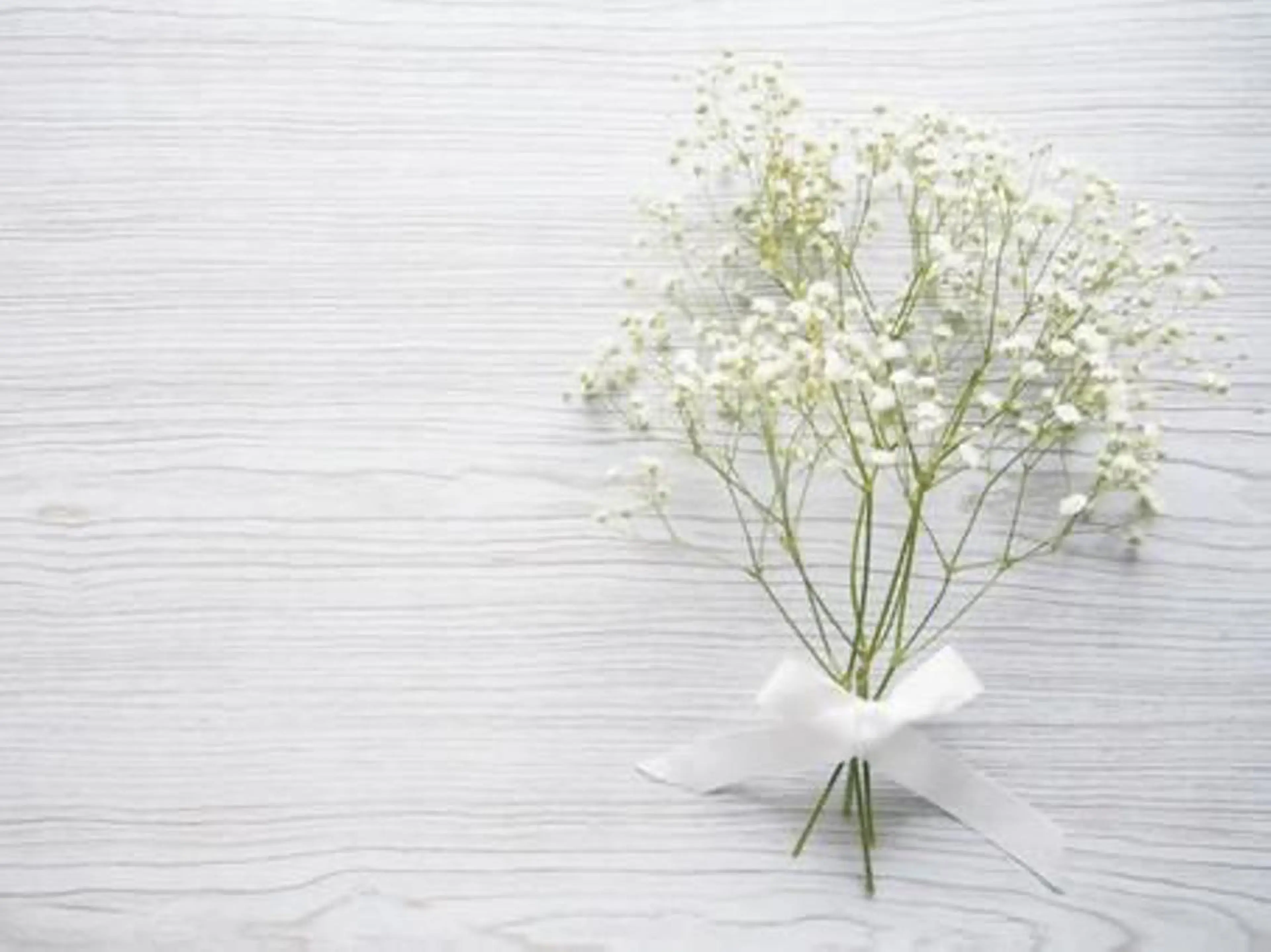 ショート ヘアアレンジ 🌿あがりれいなのその他イメージ