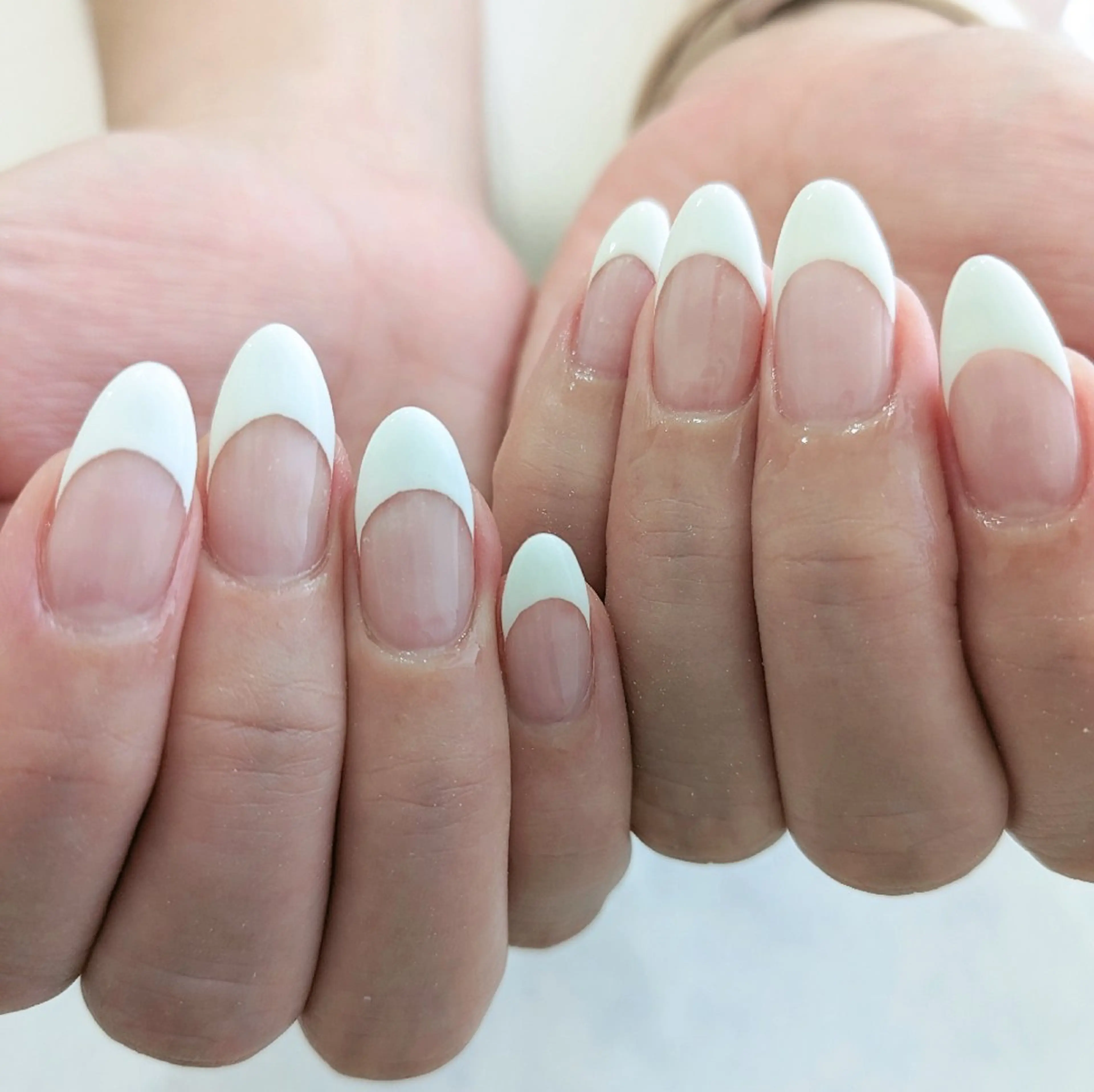 ネイル フレンチネイル Gerbera Nailistのネイルデザイン