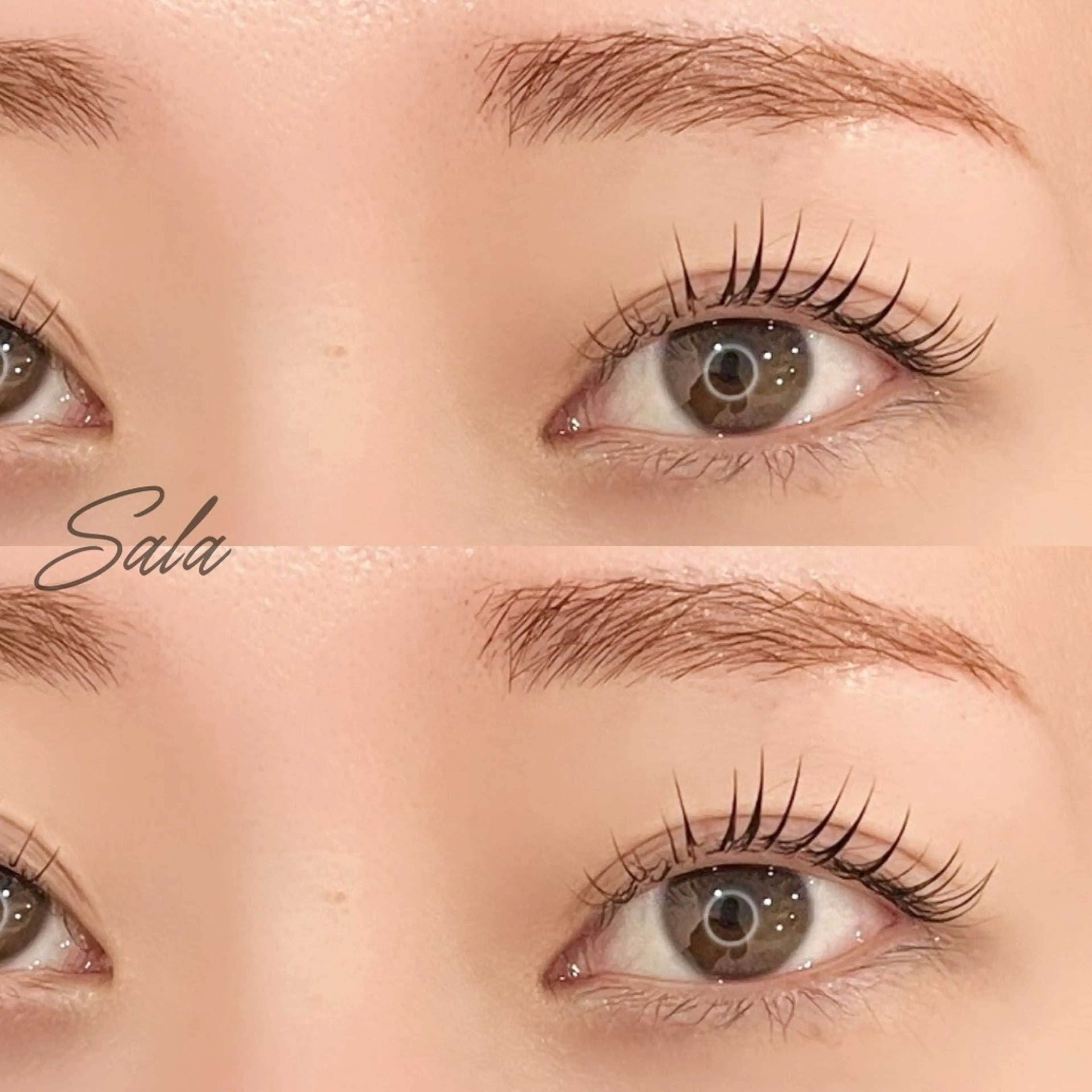 アイブロウ トータルビューティー サロンSalaのマツエク・マツパデザイン